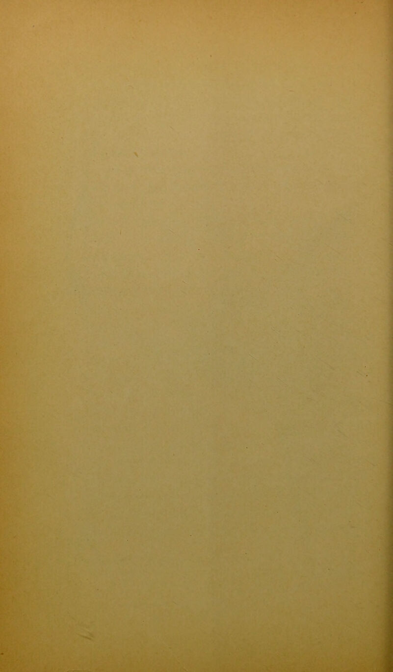 A- - 1 H '*- -, ' \ S-: î’^ » '. r