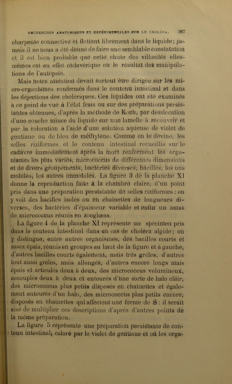 charpente connective et flottant librement dans le liquide; ja- mais il ne nous a été donné de faire une semblable constatation et il est bien probable que cette chute des villosités elles- mêmes est en effet cadavérique oti le résultat des manipula- tions de l’autopsie. Mais riotre attentioil devait surtout'être dirigée sur les mi- cro-organismes renfermés dans le contenu intestinal et dans les déjections des cholériques. Ces liquides ont été examinés à ce point de vue à l’état frais ou sur des préparations persis- tantes obtenues, d’après la méthode de Koch, par dessiccation d’une couche mince du liquide sur une lamelle à recouvrir et par la coloration à l’aidé d’une solution aqueuse dè violet de gentiane ou de bleu de méthylène. Comme on lé devine, les selles riziformes et le contenu intestinal recueillis sur le cadavre immédiatement après la mort renférrhent les orga- nismes les plus variés, microcbccus de différentes dimensions et de divers groupements, bactéries diverses, bacilles, les uns mobilèSj leS autres immobiles. La figure 8 de la planche XI donne la reproduction faite â la chambre claire, d’un point pris dans une préparation persistante de selles riziformes : on y voit des bacilles isolés ou en chaînettes de longueurs di- verses, des bactéries d’épaisseur variable et enfin un amas de micrococcus réunis en ^ooglœas. La figure 4 de la planche XI représente un spécimen pris dans le contenu intestinal dans un cas de choléra algide ; on y distingue, entre autres organismes, des bacilles courts et assez épais, réunis en groupes au haut de la figure et à gauche, d’autres bacilles courts également, mais très grêles, d’autres tout aussi grêles, mais allongés; d’autres encore longs mais épais et articulés deux à deux, des micrococcus volumineux, accouplés deux à deux et entourés d’une sorte de halo clair, des micrococcus plus petits disposés en chaînettes et égale- ment entourés d’ün halo, des micrococcus plus petits encore, disposés en chaînettes qui affectent uné forme de S : il serait aisé de multiplier ces descriptions d’après d’autres points de la même préparation. La figure 5 représente une préparation persistante de con- tenu intestinal, coloré par le violet de gentiane et où les orga-