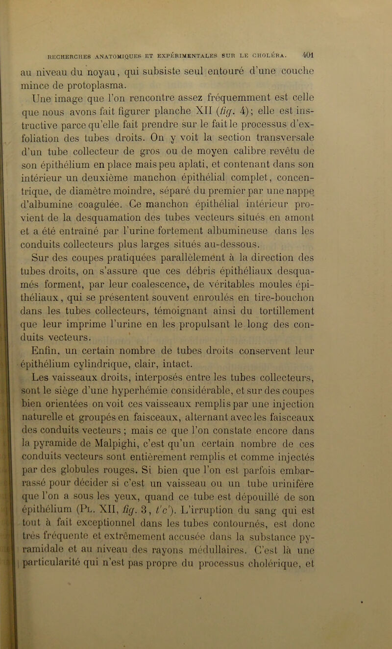 au niveau du noyau, qui subsiste seul entouré d’une couche mince de protoplasma. Une image que l’on rencontre assez fréquemment est celle que nous avons fait figurer planche XII (Jig. 4); elle est ins- tructive parce qu’elle fait prendre sur le faille processus d’ex- foliation des tubes droits. On y voit la section transversale d’un tube collecteur de gros ou de moyen calibre revêtu de son épithélium en place mais peu aplati, et contenant dans son intérieur un deuxième manchon épithélial complet, concen- trique, de diamètre moindre, séparé du premier par une nappe d’albumine coagulée. Ce manchon épithélial intérieur pro- vient de la desquamation des tubes vecteurs situés en amont et a été entraîné par l’urine fortement albumineuse dans les conduits collecteurs plus larges situés au-dessous. Sur des coupes pratiquées parallèlement à la direction des tubes droits, on s’assure que ces débris épithéliaux desqua- més forment, par leur coalescence, de véritables moules épi- théliaux , qui se présentent souvent enroulés en tire-bouchon dans les tubes collecteurs, témoignant ainsi du tortillement que leur imprime l’urine en les propulsant le long des con- duits vecteurs. Enfin, un certain nombre de tubes droits conservent leur épithélium cylindrique, clair, intact. Les vaisseaux droits, interposés entre les tubes collecteurs, sont le siège d’une hyperhémie considérable, et sur des coupes bien orientées on voit ces vaisseaux remplis par une injection naturelle et groupés en faisceaux, alternant avec les faisceaux des conduits vecteurs ; mais ce que l’on constate encore dans la pyramide de Malpighi, c’est qu’un certain nombre de ces conduits vecteurs sont entièrement remplis et comme injectés par des globules rouges. Si bien que l’on est parfois embar- rassé pour décider si c’est un vaisseau ou un tube urinifère que l’on a sous les yeux, quand ce tube est dépouillé de son épithélium (Pl. XII, üg. 3, t'c'). L’irruption du sang qui est tout à fait exceptionnel dans les tubes contournés, est donc très fréquente et extrêmement accusée dans la substance py- ramidale et au niveau des rayons médullaires. C’est là une particularité qui n’est pas propre du processus cholérique, et