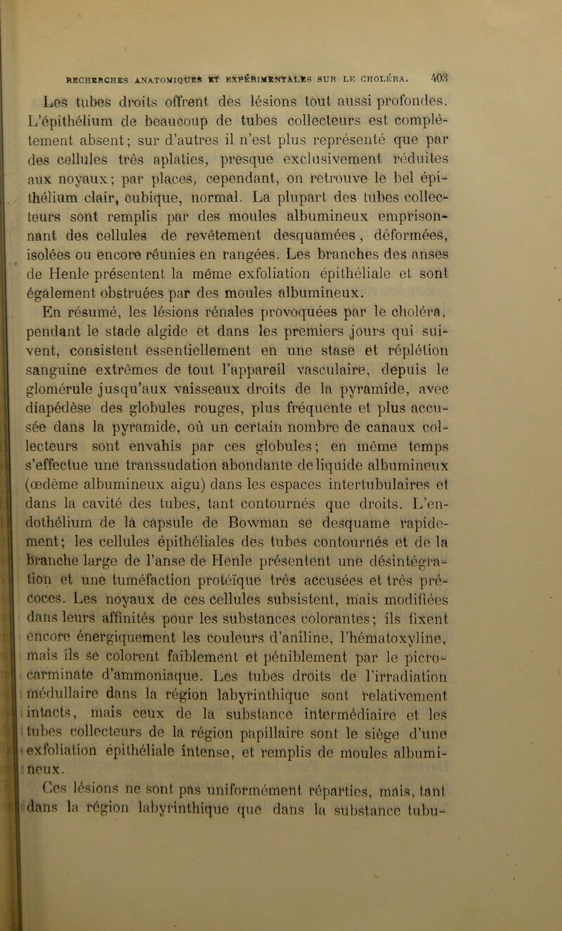 Les tubes droits offrent des lésions tout aussi profondes. L’épithélium de beaucoup de tubes collecteurs est complè- tement absent ; sur d’autres il n’est plus représenté que par des cellules très aplaties, presque exclusivement réduites aux noyaux; par places, cependant, on retrouve le bel épi- thélium clair, cubique, normal. La plupart des tubes collec- teurs sont remplis par des moules albumineux emprison-^ nant des cellules de revêtement desquamées, déformées, isolées ou encore réunies en rangées. Les branches des anses de Henle présentent la môme exfoliation épithéliale et sont également obstruées par des moules albumineux. En résumé, les lésions rénales provoquées par le choléra, pendant le stade algide et dans les premiers jours qui sui- vent, consistent essentiellement en une stase et réplétion sanguine extrêmes de tout l’appareil vasculaire, depuis le glomérule jusqu’aux vaisseaux droits de la pyramide, avec diapédèse des globules rouges, plus fréquente et plus accu- sée dans la pyramide, où un certain nombre de canaux col- lecteurs sont envahis par ces globules; en même temps s’effectue une transsudation abondante de liquide albumineux (œdème albumineux aigu) dans les espaces intertubulaires et dans la cavité des tubes, tant contournés que droits. L’en- dothélium de la capsule de Bowman se desquame rapide- ment; les cellules épithéliales des tubes contournés et de la branche large de l’anse de Henle présentent une désintégra- tion et une tuméfaction protéique très accusées et très pré- coces. Les noyaux de ces cellules subsistent, mais modifiées dans leurs affinités pour les substances colorantes; ils fixent encore énergiquement les couleurs d’aniline, l’hématoxyline, mais ils se colorent faiblement et péniblement par le picro- carminate d’ammoniaque. Les tubes droits de l’irradiation médullaire dans la région labyrinthique sont relativement intacts, mais ceux de la substance intermédiaire et les tubes collecteurs de là région papillaire sont le siège d’une exfoliation épithéliale intense, et remplis de moules albumi- neux. Ces lésions ne .sont pas uniformément réparties, mais, tant dans la région labyrinthique ((uc dans la substance tubu-