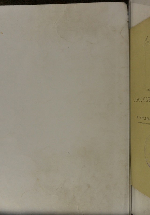 digitised image 2