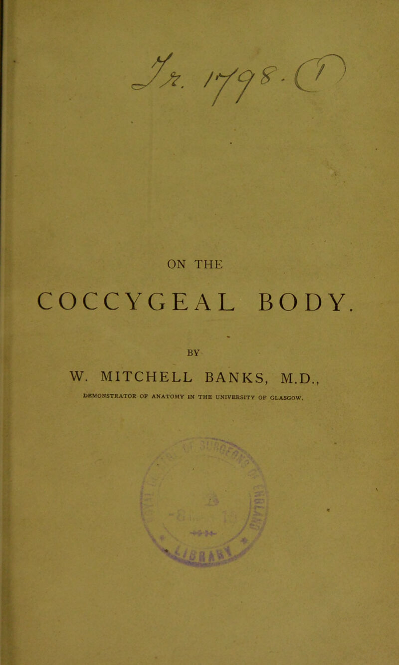 COCCYGEAL BODY BY W. MITCHELL BANKS, M.D., DEMONSTRATOR OF ANATOMY IN THE UNIVERSITY OF GLASGOW.