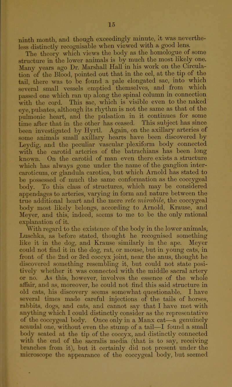 ninth month, and though exceedingly minute, it was neverthe- less distinctly recognisable when viewed with a good lens. The theory which views the body as the homologue of some structure in the lower animals is by much the most likely one. Many years ago Dr. Marshall Hall in his work on the Circula- tion of the Blood, pointed out that in the eel, at the tip of the tail, there was to be found a pale elongated sac, into which several small vessels emptied themselves, and from which passed one which ran up along the spinal column in connection with the cord. This sac, which is visible even to the naked eye, pulsates, although its rhythm is not the same as that of the pulmonic heart, and the pulsation in it continues for some time after that in the other has ceased. This subject has since been investigated by Hyrtl. Again, on the axillary arteries of some animals small axillary hearts have been discovered by Leydig, and the peculiar vascular plexiform body connected with the carotid arteries of the batrachians has been long- known. On the carotid of man even there exists a structure which has always gone under the name of the ganglion inter- caroticum, or glandula carotica, but which Arnold has stated to be possessed of much the same conformation as the coccygeal body. To this class of structures, which may be considered appendages to arteries, varying in form and nature between the true additional heart and the mere rete mirabile, the coccygeal body most likely belongs, according to Arnold, Krause, and Meyer, and this, indeed, seems to me to be the only rational explanation of it. With regard to the existence of the body in the lower animals, Luschka, as before stated, thought he recognised something like it in the dog, and Krause similarly in the ape. Meyer could not find it in the dog, rat, or mouse, but in young cats, in front of the 2nd or 3rd coccyx joint, near the anus, thought he discovered something resembling it, but could not state posi- tively whether it was connected with the middle sacral artery or no. As this, however, involves the essence of the whole affair, and as, moreover, he could not find this said structure in old cats, his discovery seems somewhat questionable. I have several times made careful injections of the tails of horses, rabbits, dogs, and cats, and cannot say that I have met with anything which I could distinctly consider as the representative of the coccygeal body. Once only in a Manx cat—a genuinely acaudal one, without even the stump of a tail—I found a small body seated at the tip of the coccyx, and distinctly connected with the end of the sacralis media (that is to say, receiving branches from it), but it certainly did not present under the microscope the appearance of the coccygeal body, but seemed