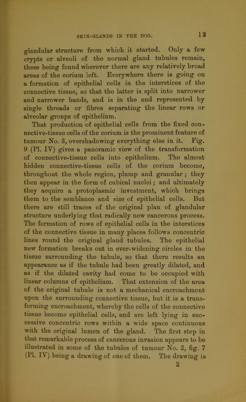 glandular structure from wliicli it started. Only a few crypts or alveoli of the normal gland tubules remain, these being found wherever there are any relatively broad areas of the corium left. Everywhere there is going on a formation of epithelial cells in the interstices of the connective tissue, so that the latter is split into narrower and narrower bands, and is in the end represented by single threads or fibres separating the linear rows or alveolar groups of epithelium. That production of epithelial cells from the fixed con- nective-tissue cells of the corium is the prominent feature of tumour No. 3, overshadowing everything else in it. Fig. 9 (PI. IY) gives a panoramic view of the transformation of connective-tissue cells into epithelium. The almost hidden connective-tissue cells of the corium become, throughout the whole region, plump and granular ; they then appear in the form of cubical nuclei; and ultimately they acquire a protoplasmic investment, which brings them to the semblance and size of epithelial cells. But there are still traces of the original plan of glandular structure underlying that radically new cancerous process. The formation of rows of epithelial cells in the interstices of the connective tissue in many places follows concentric lines round the original gland tubules. The epithelial new formation breaks out in ever-widening circles in the tissue surrounding the tubule, so that there results an appearance as if the tubule had been greatly dilated, and as if the dilated cavity had come to be occupied with linear columns of epithelium. That extension of the area of the original tubule is not a mechanical encroachment upon the surrounding connective tissue, but it is a trans- forming encroachment, whereby the cells of the connective tissue become epithelial cells, and are left lying in suc- cessive concentric rows within a wide space continuous with the original lumen of the gland. The first step in that remarkable process of cancerous invasion appears to be illustrated in some of the tubules of tumour No. 2, fig. 7 (PI. IY) being a drawing of one of them. The drawing is 2