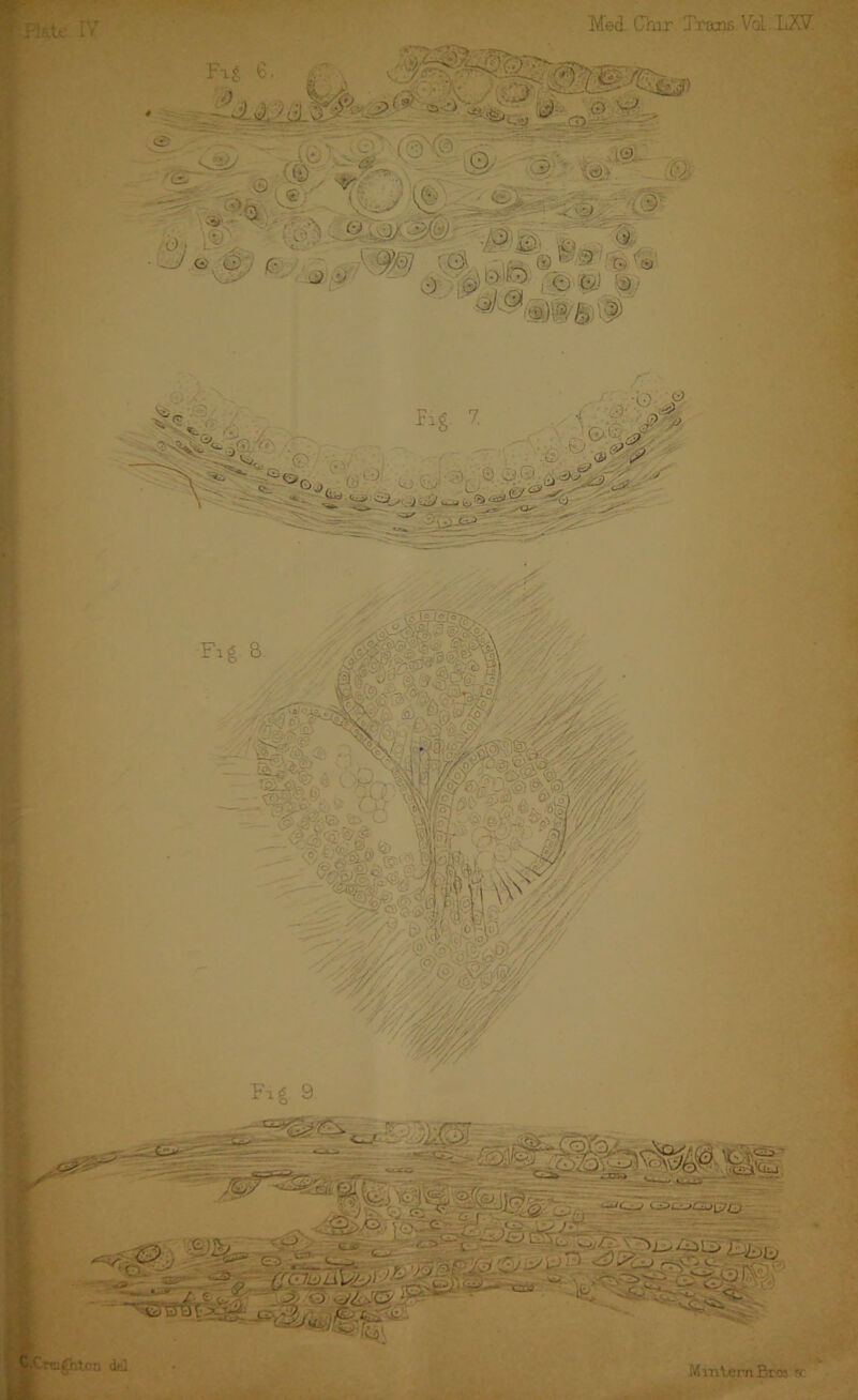 Plate IV Med Char Trans Vd. IxXV t ■Creighton del Mvntem Bros sc