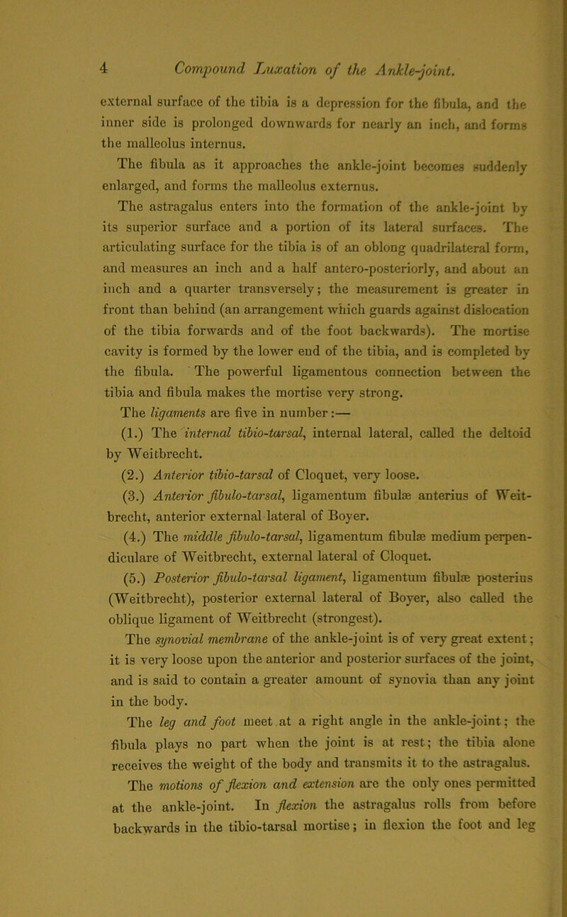 external surface of the tibia is a depression for the fibula, and the inner side is prolonged downwards for nearly an inch, and forms the malleolus internus. The fibula as it approaches the ankle-joint becomes suddenly enlarged, and forms the malleolus externus. The astragalus enters into the formation of the ankle-joint by its superior surface and a portion of its lateral surfaces. The articulating surface for the tibia is of an oblong quadrilateral form, and measures an inch and a half antero-posteriorly, and about an inch and a quarter transversely; the measurement is greater in front than behind (an arrangement which guards against dislocation of the tibia forwards and of the foot backwards). The mortise cavity is formed by the lower end of the tibia, and is completed by the fibula. The powerful ligamentous connection between the tibia and fibula makes the mortise very strong. The ligaments are five in number:— (1.) The internal tibio-tarsal, internal lateral, called the deltoid by Weitbrecht. (2.) Anterior tibio-tarsal of Cloquet, very loose. (3.) Anterior flbulo-tarsal, ligamentum fibula: anterius of Weit- brecht, anterior external lateral of Boyer. (4.) The middle flbulo-tarsal, ligamentum fibulae medium perpen- diculare of Weitbrecht, external lateral of Cloquet. (5.) Posterior jibulo-tarsal ligament, ligamentum fibulae posterius (Weitbrecht), posterior external lateral of Boyer, also called the oblique ligament of Weitbrecht (strongest). The synovial membrane of the ankle-joint is of very great extent; it is very loose upon the anterior and posterior surfaces of the joint, and is said to contain a greater amount of synovia than any joint in the body. The leg and foot meet at a right angle in the ankle-joint; the fibula plays no part when the joint is at rest; the tibia alone receives the weight of the body and transmits it to the astragalus. The motions of flexion and extension are the only ones permitted at the ankle-joint. In flexion the astragalus rolls from before backwards in the tibio-tarsal mortise; in flexion the foot and leg