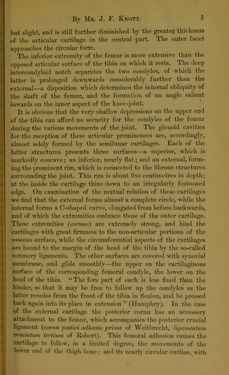 but slight, and is still further diminished by the greater thickness of the articular cartilage in the central part. The outer facet approaches the circular form. The inferior extremity of the femur is more extensive than the opposed articular surface of the tibia on which it rests. The deep intercondyloid notch separates the two condyles, of which the latter is prolonged downwards considerably further than the external—a disposition which determines the internal obliquity of the shaft of the femur, and the formation of an angle salient inwards on the inner aspect of the knee-joint. It is obvious that the very shallow depressions on the upper end of the tibia can afford no security for the condyles of the femur during the various movements of the joint. The glenoid cavities for the reception of these articular prominences are, accordingly, almost solely formed by the semilunar cartilages. Each of the latter structures presents three sui’faces—a superior, which is markedly concave ; an inferior, nearly flat; and an external, form- ing the prominent rim, which is connected to the fibrous structures surrounding the joint. This rim is about five centimetres in depth; at the inside the cartilage thins down to an irregularly festooned edge. On examination of the mutual relation of these cartilages we find that the external forms almost a complete circle, while the internal forms a C-shaped curve, elongated from before backwards, and of which the extremities embrace those of the outer cartilage. These extremities (cornua) are extremely strong, and bind the cartilages with great firmness to the non-articular portions of the osseous surface, while the circumferential aspects of the cartilages are bound to the margin of the head of the tibia by the so-called coronary ligaments. The other surfaces are covered with synovial membrane, and glide smoothly—the upper on the cartilaginous surface of the corresponding femoral condyle, the lower on the head of the tibia. “ The fore part of each is less fixed than the hinder, so that it may be free to follow up the condyles as the latter recedes from the front of the tibia in flexion, and be pressed back again into its place in extension ” (Humphry). In the case of the external cartilage the posterior cornu has an accessory attachment to the femur, which accompanies the posterior crucial ligament {cornu postici adlicesio priina of Weitbrecht, tig amentum cruciatum tertium of Robert). This femoral adhesion causes the cartilage to follow, in a limited degree, the movements of the lower end of the thigh bone; and its nearly circular outline, with