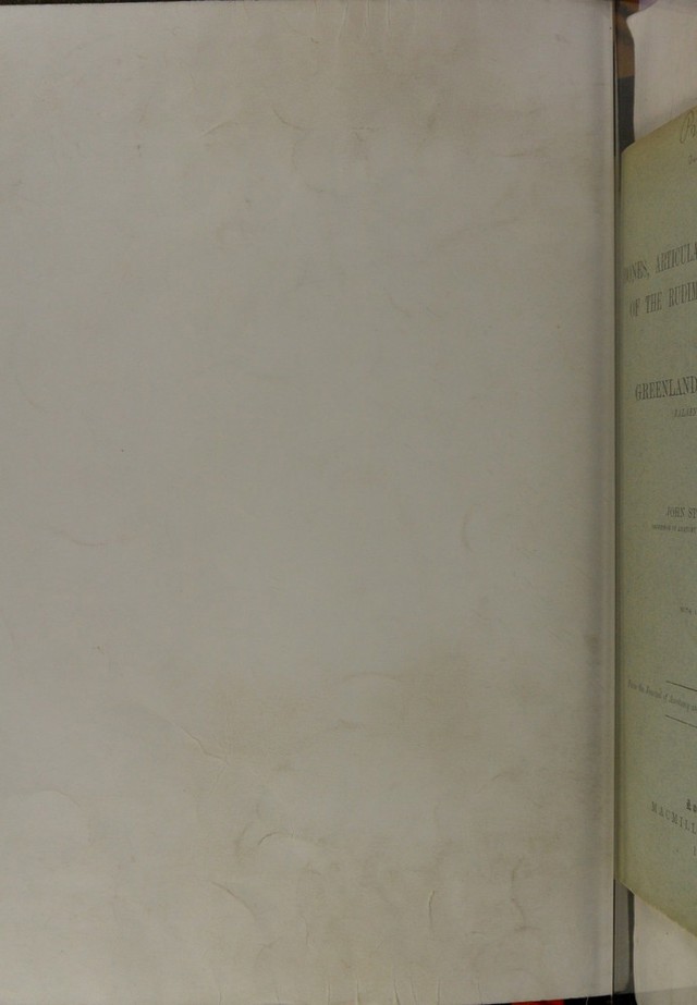 digitised image 2
