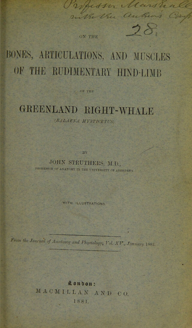 digitised image 3