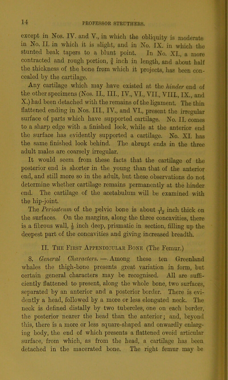 except in Nos. IV. and V., in which the obliquity is moderate in No. II. in which it is slight, and in No. IX. in which the stunted beak tapers to a blunt point. In No. XI., a more contracted and rough portion, f inch in length, and about half the thickness of the bone from which it projects, lias been con- cealed by the cartilage. Any cartilage which may have existed at the hinder end of the other specimens (Nos. II., III., IV., VI., VII., VIII., IX., and X.) had been detached with the remains of the ligament. The thin flattened ending in Nos. III., IV., and VI., present the irregular surface of parts which have supported cartilage. No. II. comes to a sharp edge with a finished look, while at the anterior end the surface has evidently supported a cartilage. No. XI. has the same finished look behind. The abrupt ends in the three adult males are coarsely irregular. It would seem from these facts that the cartilage of the posterior end is shorter in the young than that of the anterior end, and still more so in the adult, but these observations do not determine whether cartilage remains permanently at the hinder end. The cartilage of the acetabulum will be examined with the hip-joint. The Periosteum of the pelvic bone is about ^ inch thick on the surfaces. On the margins, along the three concavities, there is a fibrous wall, \ inch deep, prismatic in section, filling up the deepest part of the concavities and giving increased breadth. II. The First Appendicular Bone (The Femur.) 8. General Characters. — Among these ten Greenland whales the thigh-bone presents great variation in form, but certain general characters may be recognised. All are suffi- ciently flattened to present, along the whole bone, two surfaces, separated by an anterior and a posterior border. There is evi- dently a head, followed by a more or less elongated neck. The neck is defined distally by two tubercles, one on each border, the posterior nearer the head than the anterior; and, beyond this, there is a more or less square-shaped and onwardly enlarg- ing body, the end of which presents a flattened ovoid articular surface, from which, as from the head, a cartilage has been detached in the macerated bone. The right femur may be