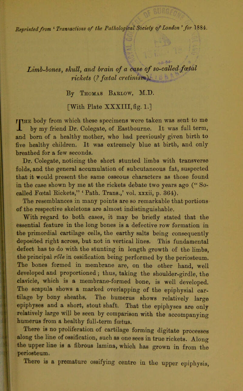 Reprinted from ‘ Transactions of the Pathological Society of London ’for 1884. Limb-bones, skull, and brain of a case of so-called foetal rickets (? foetal cretinism). By Thomas Baelow, M.D. [With Plate XXXIII, fig. 1.] rnHE body from which these specimens were taken was sent to me JL by my friend Dr. Colegate, of Eastbourne. It was full term, and born of a healthy mother, who had previously given birth to five healthy children. It was extremely blue at birth, and only breathed for a few seconds. Dr. Colegate, noticing the short stunted limbs with transverse folds, and the general accumulation of subcutaneous fat, suspected that it would present the same osseous characters as those found in the case shown by me at the rickets debate two years ago (“ So- called Foetal Rickets,” ‘ Path. Trans.,’ vol. xxxii, p. 364). The resemblances in many points are so remarkable that portions of the respective skeletons are almost indistinguishable. With regard to both cases, it may be briefly stated that the essential feature in the long bones is a defective row formation in the primordial cartilage cells, the earthy salts being consequently deposited right across, but not in vertical lines. This fundamental defect has to do with the stunting in length growth of the limbs, the principal role in ossification being performed by the periosteum. The bones formed in membrane are, on the other hand, well developed and proportioned; thus, taking the shoulder-girdle, the clavicle, which is a membrane-formed bone, is well developed. The scapula Bhows a marked overlapping of the epiphysial car- tilage by bony sheaths. The humerus shows relatively large epiphyses and a short, stout shaft. That the epiphyses are only relatively large will be seen by comparison with the accompanying humerus from a healthy full-term foetus. There is no proliferation of cartilage forming digitate processes along the line of ossification, such as one sees in true rickets. Along the upper line is a fibrous lamina, which has grown in from the periosteum. There is a premature ossifying centro in the upper epiphysis,