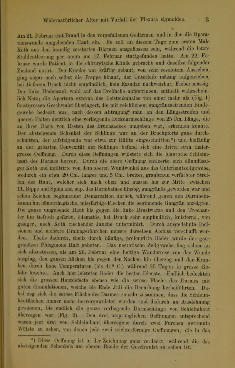 Am 21. Februar trat Brand in den vorgefallenen Gedärmen und in der die Opera- tionswunde umgebenden Haut ein. Es soll an diesem Tage zum ersten Male Koth aus den brandig zerstörten Därmen ausgeflossen sein, während die letzte Stuhlentleerung per anum am 17. Februar stattgefunden hatte. Am 22. Fe- bruar wurde Patient in die chirurgische Klinik gebracht und daselbst folgender Zustand notirt. Der Kranke war kräftig gebaut, von sehr resolutem Aussehen, ging sogar noch selbst die Treppe hinauf, der Unterleib mässig aufgetrieben, bei tieferem Druck nicht empfindlich, kein Exsudat nachweisbar, Fieber mässig. Der linke Hodensack wohl auf das Dreifache aufgetrieben, enthielt wahrschein- lich Netz; die Apertura externa des Leistenkanales von einer mehr als (Fig. 1) faustgrossen Geschwulst überlagert, die mit reichlichem gangränescii'enden Binde- gewebe bedeckt war, nach dessen Abtragung man an den Längssti-eifen und queren Falten deutlich eine vorliegende Dickdarmschlinge von 25 Cm. Länge, die an ihrer Basis von Resten des Bruchsackes umgeben war, erkennen konnte. Der absteigende Schenkel der Schlinge war an der Bruchpforte ganz durch- schnitten, der aufsteigende war etwa zur Hälfte eingeschnitten*) und beiläufig an der grössten Conveiität der Schlinge befand sich eine dritte etwa thaler- grosse OeflTnung. Durch diese Oelfnungen wulstete sich die blaurothe Schleim- haut des Dannes hervor. Durch die obere Oeffnung entleerte sich dünnflüssi- ger Koth und infiltrirte von dem oberen Wundwinkel aus das Unterhautzellgewebe, wodurch ein etwa 20 Cm. langer und 5 Cm. breiter, graubraun verfärbter Strei- fen der Haut, welcher sich nach oben und aussen bis zur Mitte zwischen 11. Rippe und Spina ant. sup. des Darmbeines hinzog, gangränös geworden war und schon Zeichen begiimender Deraarcation darbot, während gegen den Darmbein- kamm hin hämorrhagische, missfarbige Flecken die beginnende Gangrän anzeigten. Die ganze umgebende Haut bis gegen die linke Brustwarze und den Trochan- ter hin tiefroth gefärbt, ödematös, bei Druck sehr empfindlich, knisternd, von gasiger, nach Koth riechender Jauche unterminirt. Durch ausgedehnte Inci- sionen und mehrere Drainageröhrchen musste derselben Abfluss verschafft wer- den. Theils dadurch, theils durch häufige, prolongirte Bäder wurde der gan- gränösen Phlegmone Halt geboten. Das necrotische Zellgewebe fing schon an sich abzustossen, als am 26. Februar eine heftige Wanderrose von der Wunde ausging, den ganzen Rücken bis gegen den Nacken hin überzog und den Kran- ken durch hohe Temperaturen (bis 41® C.) während 20 Tagen in grosse Ge- fahr brachte. Auch hier leisteten Bäder die besten Dienste. Endlich bedeckten sich die grossen Hautdefecte ebenso wie die seröse Fläche des Darmes mit guten Granulationen, welche bis Ende Juli die Benarbung herbeiführten. Da- bei zog sich die seröse Fläche des Darmes so sehr zusammen, dass die Schleim- liautflächen immer mehr hervorgewulstet wurden und dadurch an Ausdehnung gewannen, bis endlich die ganze vorliegende Darmschlinge von Schleimhaut überzogen war (Fig. 2). Den drei ursprünglichen Oeffnungen entsprechend waren jezt drei vo?i Schleimhaut überzogene durch zwei Furchen getrennte Wülste zu sehen, von denen jede zwei trichterförmige Oeffnungen, die in das *) Diese Oeffnung ist in der Zeichnung ganz verdeckt, während die des absteigenden Schenkels am oberen Rande der Geschwulst zu sehen ist.