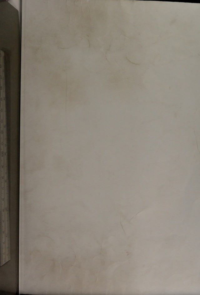 digitised image 1
