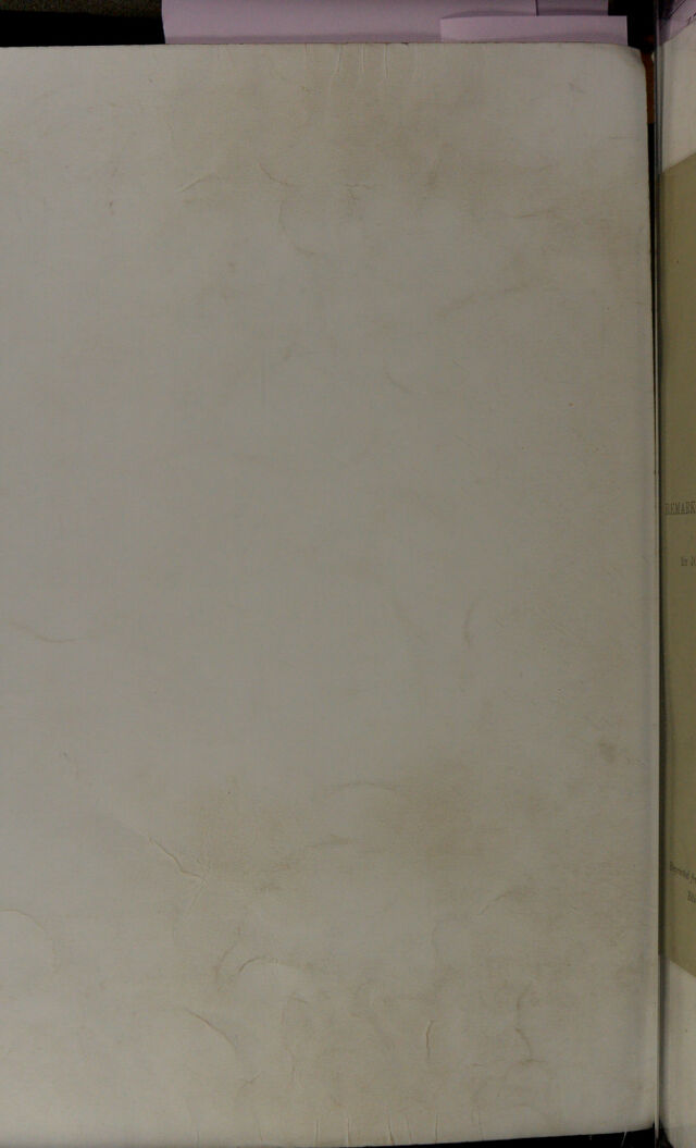 digitised image 2