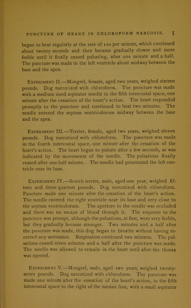 began to beat regularly at the rate of 120 per minute, which continued about twenty seconds and then became gradually slower and more feeble until it finally ceased pulsating, after one minute and a half. The puncture was made in the left ventricle about midway between the base and the apex. Experiment II.—Mongrel, female, aged two years, weighed sixteen pounds. Dog narcotized with chloroform. The puncture was made with a medium sized aspirator needle in the fifth intercostal space, one minute after the cessation of the heart’s action. The heart responded promptly to the puncture and continued to beat two minutes. The needle entered the septum ventriculorum midway between the base and the apex. Experiment III.—Terrier, female, aged two years, weighed eleven pounds. Dog narcotized with chloroform. The puncture was made in the fourth intercostal space, one minute after the cessation of the heart’s action. The heart began to pulsate after a few seconds, as was indicated by the movements of the needle. The pulsations finally ceased after one-half minute. The needle had penetrated the left ven- tricle near its base. Experiment IV.—Scotch terrier, male, aged one year, weighed fif- teen and three quarters pounds. Dog narcotized with chloroform. Puncture made one minute after the cessation of the heart’s action. The needle entered the right ventricle near its base and very close to the septum ventriculorum. The aperture in the needle was occluded and there was no escape of blood through it. The response to the puncture was prompt, although the pulsations, at first, were very feeble, but they gradually became stronger. Two minutes and a half after the puncture was made, this dog began to breathe without having re- ceived any assistance. Respiration continued two minutes. The pul- sations ceased seven minutes and a half after the puncture was made. The needle was allowed to remain in the heart until after the thorax was opened. Experiment V.—Mongrel, male, aged two years, weighed twenty- seven pounds. Dog narcotized with chloroform. The puncture was made one minute after the cessation of the heart’s action, in the fifth intercostal space to the right of the mesian line, with a small aspirator
