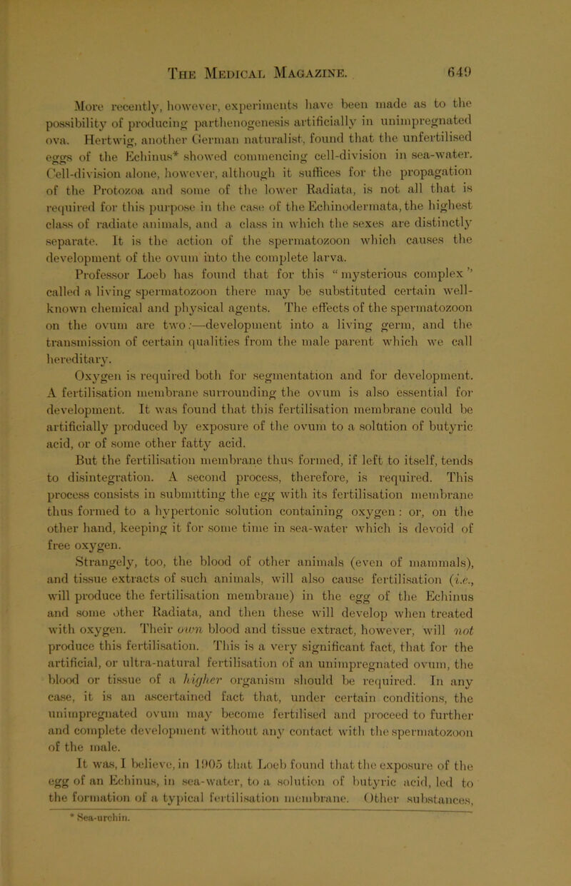 More recently, however, experiments have been made as to the possibility of producing parthenogenesis artificially in unimpregnated ova. Hertwig, another German naturalist, found that the unfertilised eo-o-s of the Echinus* showed commencing cell-division in sea-water. Cell-division alone, however, although it suffices for the propagation of the Protozoa and some of the lower Radiata, is not all that is required for this purpose in the case of the Echinodermata, the highest class of radiate animals, and a class in which the sexes are distinctly separate. It is the action of the spermatozoon which causes the development of the ovum into the complete larva. Professor Loeb has found that for this “ mysterious complex ’’ called a living spermatozoon there may be substituted certain well- known chemical and physical agents. The effects of the spermatozoon on the ovum are two:—development into a living germ, and the transmission of certain qualities from the male parent which we call hereditary. Oxygen is required both for segmentation and for development. A fertilisation membrane surrounding the ovum is also essential for development. It was found that this fertilisation membrane could be artificially produced by exposure of the ovum to a solution of butyric acid, or of some other fatty acid. But the fertilisation membrane thus formed, if left to itself, tends to disintegration. A second process, therefore, is required. This process consists in submitting the egg with its fertilisation membrane thus formed to a hypertonic solution containing oxygen : or, on the other hand, keeping it for some time in sea-water which is devoid of free oxygen. Strangely, too, the blood of other animals (even of mammals), and tissue extracts of such animals, will also cause fertilisation (i.e., will produce the fertilisation membrane) in the egg of the Echinus and some other Radiata, and then these will develop when treated with oxygen. Their own blood and tissue extract, however, will not produce this fertilisation. This is a very significant fact, that for the artificial, or ultra-natural fertilisation of an unimpregnated ovum, the blood or tissue of a higher organism should be required. In any case, it is an ascertained fact that, under certain conditions, the unimpregnated ovum may become fertilised and proceed to further and complete development without any contact with the spermatozoon of the male. It was, I believe, in 1905 that Loeb found that the exposure of the egg of an Echinus, in sea-water, to a solution of butyric acid, led to the formation of a typical fertilisation membrane. Other substances, Sea-urchin.