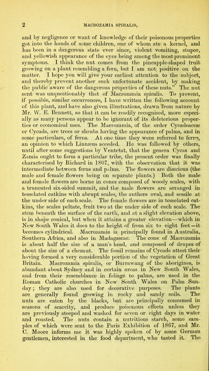 and by negligence or want of knowledge of their poisonous properties got into the hands of some children, one of whom ate a kernel, and has been in a dangerous state ever since, violent vomiting, stupor, and yellowish appearance of the eyes being among the most prominent symptoms. I think the nut comes from the pineapple-shaped fruit growing on a plant resembling a fern, but I am not positive on the matter. I hope you will give your earliest attention to the subject, and thereby prevent another such unfortunate accident, by making the jjublic aware of the dangerous properties of these nuts.” The nut sent was unquestionably that of Macrozamia spiralis. To prevent, if possible, similar occurrences, I have written the following account of this plant, and have also given illustrations, drawn from nature by Mr. W. E. Bennett, so that it can be readily recognised, more especi- ally as many persons appear to be ignorant of its deleterious proper- ties or economical uses. The Macrozamia, of the order Cycadeacese or Cycads, are trees or shrubs having the appearance of palms, and in some particulars, of ferns. At one time they were referred to ferns, an opinion to which Linnseus acceded. He was followed by others, until after some suggestions by Yentetat, that the genera Cycas and Zamia ought to form a particular tribe, the present order was finally characterised by Eichard in 1807, with the observation that it was intermediate between ferns and palms. The flowers are dioecious (the male and female flowers being on separate plants.) Both the male and female flowers are borne in cones composed of woody scales, with a truncated six-sided summit, and the male flowers are arranged in tesselated catkins with abrupt scales, the anthers oval, and sessile at the under side of each scale. The female flowers are in tesselated cat- kins, the scales peltate, fruit two at the under side of each scale. The stem beneath the surface of the earth, and at a slight elevation above, is in shape conical, but when it attains a greater elevation—which in New South Wales it does to the height of from six to eight feet-«-it becomes cylindrical. Macrozamia is principally found in Australia, Southern Africa, and also in Madagascar. The cone of Macrozamia is about half the size of a man’s head, and composed of drupes of about the size of a chesnut. The fossil remains of Cycads attest their having formed a very considerable portion of the vegetation of Great Britain. Macrozamia spiralis, or Burrawang of the aborigines, is abundant about Sydney and in certain areas in New South Wales, and from their resemblance in foliage to palms, are used in the Eoman Catholic churches in New South Wales on Palm Sun- day ; they are also used for decorative purposes. The plants are generally found growing in rocky and sandy soils. The nuts are eaten by the blacks, but are principally consumed in seasons of scarcity, and produce poisonous effects unless they are previously steeped and washed for seven or eight days in water and roasted. The nuts Contain a nutritious starch, some sam- ples of which were sent to the Paris Exhibition of 1867, and Mr. C. Moore informs me it was highly spoken of by some German gentlemen, interested in the food department, who tasted it. The