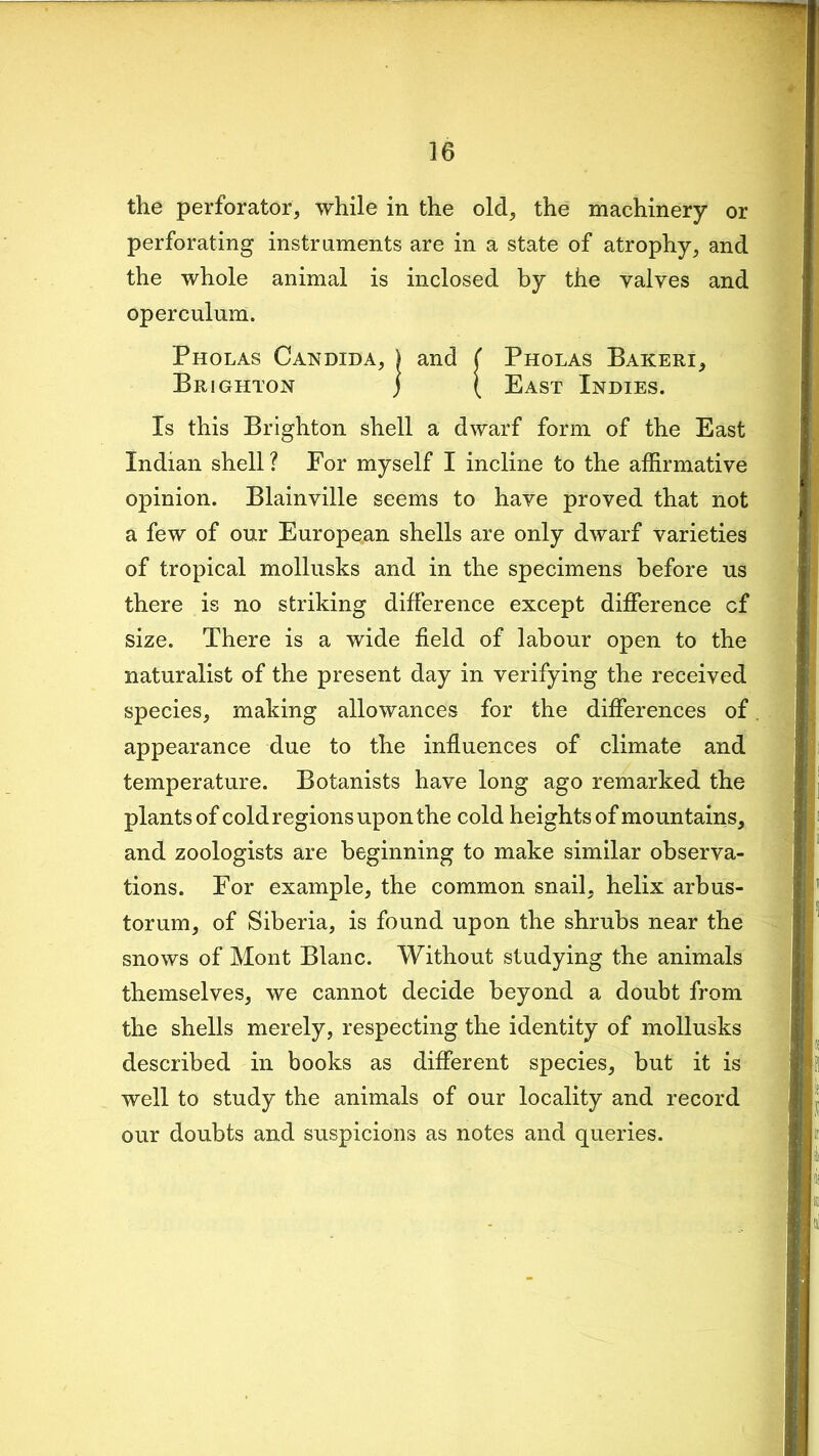 the perforator, while in the old, the machinery or perforating instruments are in a state of atrophy, and the whole animal is inclosed by the valves and operculum. Pholas Candida, ) and ( Pholas Bakeri, Brighton j ( East Indies. Is this Brighton shell a dwarf form of the East Indian shell ? For myself I incline to the affirmative opinion. Blainville seems to have proved that not a few of our European shells are only dwarf varieties of tropical mollusks and in the specimens before us there is no striking difference except difference cf size. There is a wide field of labour open to the naturalist of the present day in verifying the received species, making allowances for the differences of appearance due to the influences of climate and temperature. Botanists have long ago remarked the plants of cold regions upon the cold heights of mountains, and zoologists are beginning to make similar observa- tions. For example, the common snail, helix arbus- torum, of Siberia, is found upon the shrubs near the snows of Mont Blanc. Without studying the animals themselves, we cannot decide beyond a doubt from the shells merely, respecting the identity of mollusks described in books as different species, but it is well to study the animals of our locality and record our doubts and suspicions as notes and queries.