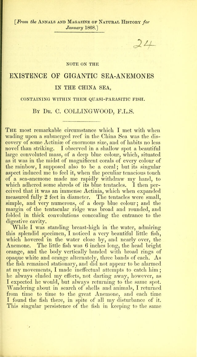 digitised image 1