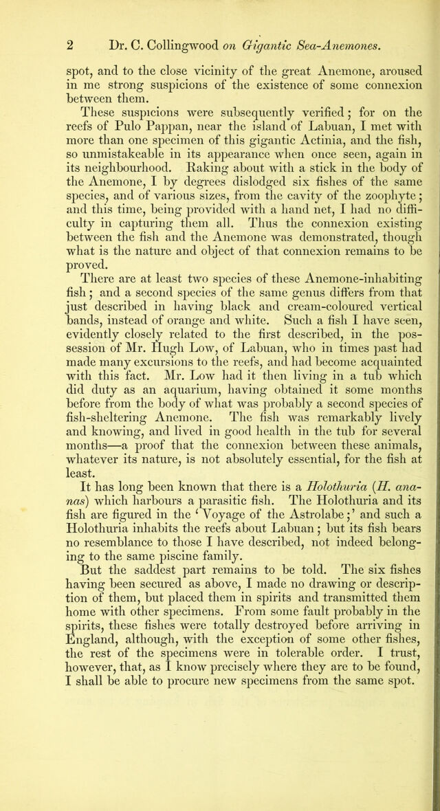 digitised image 2