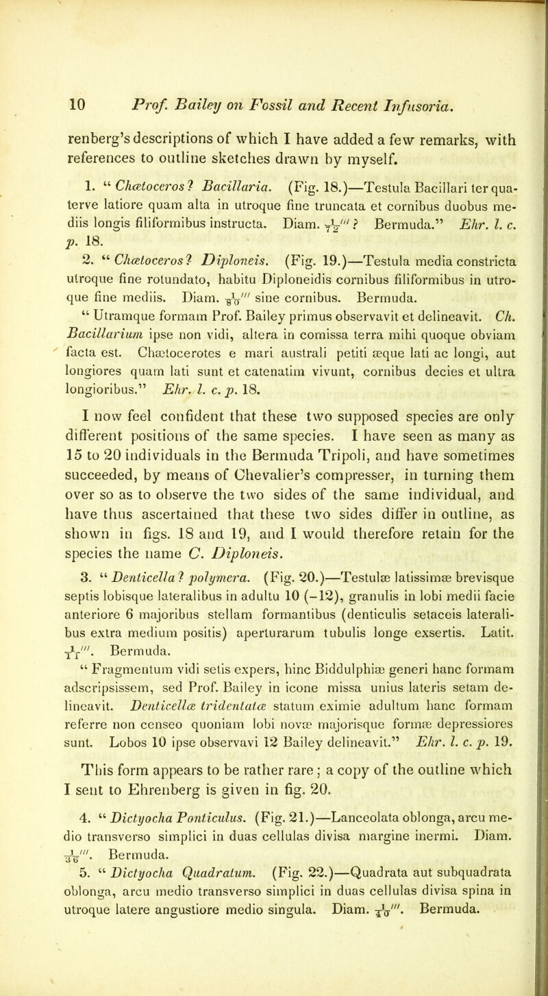 renberg’s descriptions of which I have added a few remarks, with references to outline sketches drawn by myself. 1. CJmtocerosl Bacillaria. (Fig. 18.)—Testula Bacillari ter qua- terve latiore quam alta in utroque fine truncata et cornibus duobus me- diis longis filiformibus instructa. Diam. ' Bermuda.” Ehr. 1. c. p, 18. 2. Ch(Eloceros7 Diploneis. (Fig. 19.)—Testula media constricta utroque fine rotundato, habitu Diploneidis cornibus filiformibus in utro- que fine mediis. Diam. sine cornibus. Bermuda. “ Utramque formam Prof. Bailey primus observavit et delineavit. Ch. Bacillariam ipse non vidi, altera in comissa terra mihi quoque obviam ^ facta est. Chmtocerotes e mari austral! petiti seque lati ac longi, aut longiores quam lati sunt et catenatim vivunt, cornibus decies et ultra longioribus.” Ehr. 1. c. p. 18. I now feel confident that these two supposed species are only different positions of the same species. I have seen as many as 15 to 20 individuals in the Bermuda Tripoli, and have sometimes succeeded, by means of Chevalier’s compresser, in turning them over so as to observe the two sides of the same individual, and have thus ascertained that these two sides differ in outline, as shown in figs. 18 ana 19, and I would therefore retain for the species the name C. Diploneis. 3. “ Denticella ? polymera. (Fig. 20.)—Testulse latlssimee brevisque septis lobisque lateralibus in adultu 10 (-12), granulis in lobi medii facie anteriore 6 majoribus stellam formantibus (denticulis setaceis laterali- bus extra medium positis) aperturarum tubulis longe exsertis. Latit. 'll. Bermuda. ‘‘ Fragmentum vidi sells expers, bine Biddulphiae generi banc formam adscripsissem, sed Prof. Bailey in icone missa unius lateris setam de- lineavit. Denticellce. tridentaixE statum eximie adultum banc formam referre non censeo quoniam lobi novae majorisque formae depressiores sunt. Lobos 10 ipse observavi 12 Bailey delineavit.” Ehr. 1. c. p. 19. This form appears to be rather rare; a copy of the outline which I sent to Ehrenberg is given in fig. 20. 4. “ Dictyocha Ponticiilus. (Fig. 21.)—Lanceolata oblonga, arcu me- dio transverso simplici in duas cellulas divisa margine inermi. Diam. 3^^'. Bermuda. 5. “ Dictyocha Qiiadratum. (Fig. 22.)—Quadrata aut subquadrata oblonga, arcu medio transverso simplici in duas cellulas divisa spina in utroque latere angustiore medio singula. Diam. Bermuda.