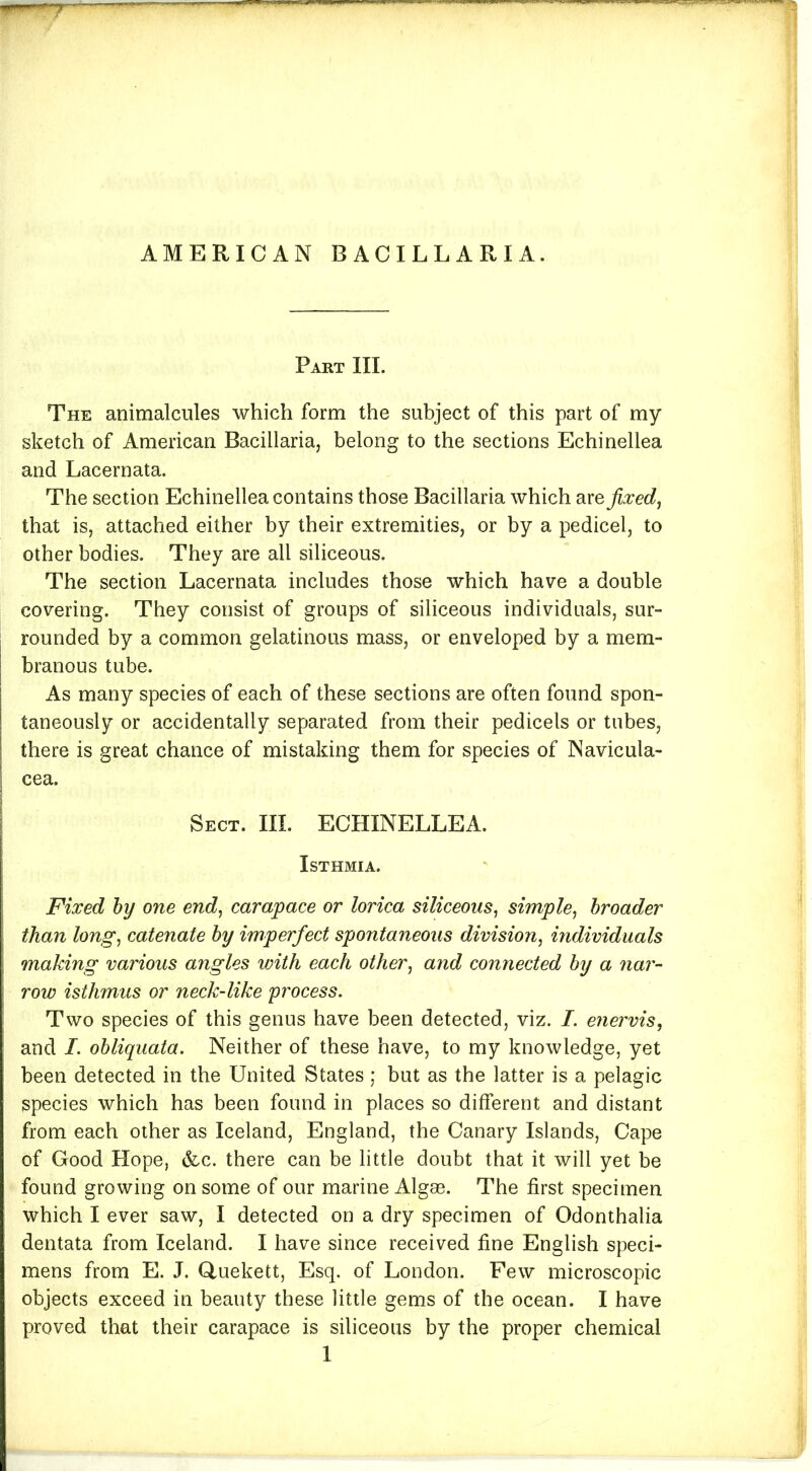 AMERICAN BACILLARIA. Part III. The animalcules which form the subject of this part of my sketch of American Bacillaria, belong to the sections Echinellea and Lacernata. The section Echinellea contains those Bacillaria which are fixed, that is, attached either by their extremities, or by a pedicel, to other bodies. They are all siliceous. The section Lacernata includes those which have a double covering. They consist of groups of siliceous individuals, sur- rounded by a common gelatinous mass, or enveloped by a mem- branous tube. As many species of each of these sections are often found spon- taneously or accidentally separated from their pedicels or tubes, there is great chance of mistaking them for species of Navicula- cea. Sect. III. ECHINELLEA. ISTHMIA. Fixed by one end, carapace or lorica siliceous, simple, broader than long, catenate by imperfect spontaneous division, individuals making various angles with each other, and connected by a nar- row isthmus or neck-like process. Two species of this genus have been detected, viz. I. enervis, and I. obliquata. Neither of these have, to my knowledge, yet been detected in the United States; but as the latter is a pelagic species which has been found in places so different and distant from each other as Iceland, England, the Canary Islands, Cape of Good Hope, &c. there can be little doubt that it will yet be found growing on some of our marine Algae. The first specimen which I ever saw, I detected on a dry specimen of Odonthalia dentata from Iceland. I have since received fine English speci- mens from E. J. Quekett, Esq. of London. Few microscopic objects exceed in beauty these little gems of the ocean. I have proved that their carapace is siliceous by the proper chemical 1