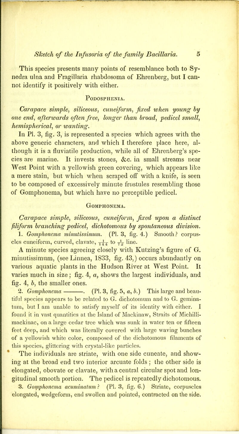 This species presents many points of resemblance both to Sy- nedra ulna and Fragillaria rhabdosoma of Ehrenberg, but I can- not identify it positively with either. PoDOSPHENIA. Carapace simple, siliceous, cuneiform, fixed when young by one end, afterwards often free, longer than broad, pedicel small, hemispherical, or wanting. In PL 3, fig. 3, is represented a species which agrees with the above generic characters, and which I therefore place here, al- though it is a fluviatile production, while all of Ehrenberg’s spe- cies are marine. It invests stones, &c. in small streams near West Point with a yellowish green covering, which appears like a mere stain, but which when scraped off with a knife, is seen to be composed of excessively minute frustules resembling those of Gomphonema, but which have no perceptible pedicel. Gomphonema. Carapace simple, siliceous, cuneiform, fixed upon a distinct filiform branching pedicel, dichotomous by spontaneous division. 1. Gomphonema minutissimum. (PL 3, fig. 4.) Smooth? corpus- cles cuneiform, curved, clavate, to line. A minute species agreeing closely with Kutzing’s figure of G. minutissimum, (seeLinnea, 1833, fig. 43,) occurs abundantly on various aquatic plants in the Hudson River at West Point. It varies much in size; fig. 4, a} shows the largest individuals, and fig. 4, b, the smaller ones. 2. Gomphonema . (PL 3, fig. 5, a, b.) This large and beau- tiful species appears to be related to G. dichotomum and to G. gemina- tum, but I am unable to satisfy myself of its identity with either. I found it in vast quantities at the Island of Mackinaw, Straits of Michilli- mackinac, on a large cedar tree which was sunk in water ten or fifteen feet deep, and which was literally covered with large waving bunches of a yellowish white color, composed of the dichotomous filaments of this species, glittering with crystal-like particles. * The individuals are striate, with one side cuneate, and show- ing at the broad end two interior arcuate folds ; the other side is elongated, obovate or clavate, with a central circular spot and lon- gitudinal smooth portion. The pedicel is repeatedly dichotomous. 3. Gomphonema acuminatum ? (PL 3, fig. 6.) Striate, corpuscles elongated, wedgeform, end swollen and pointed, contracted on the side.
