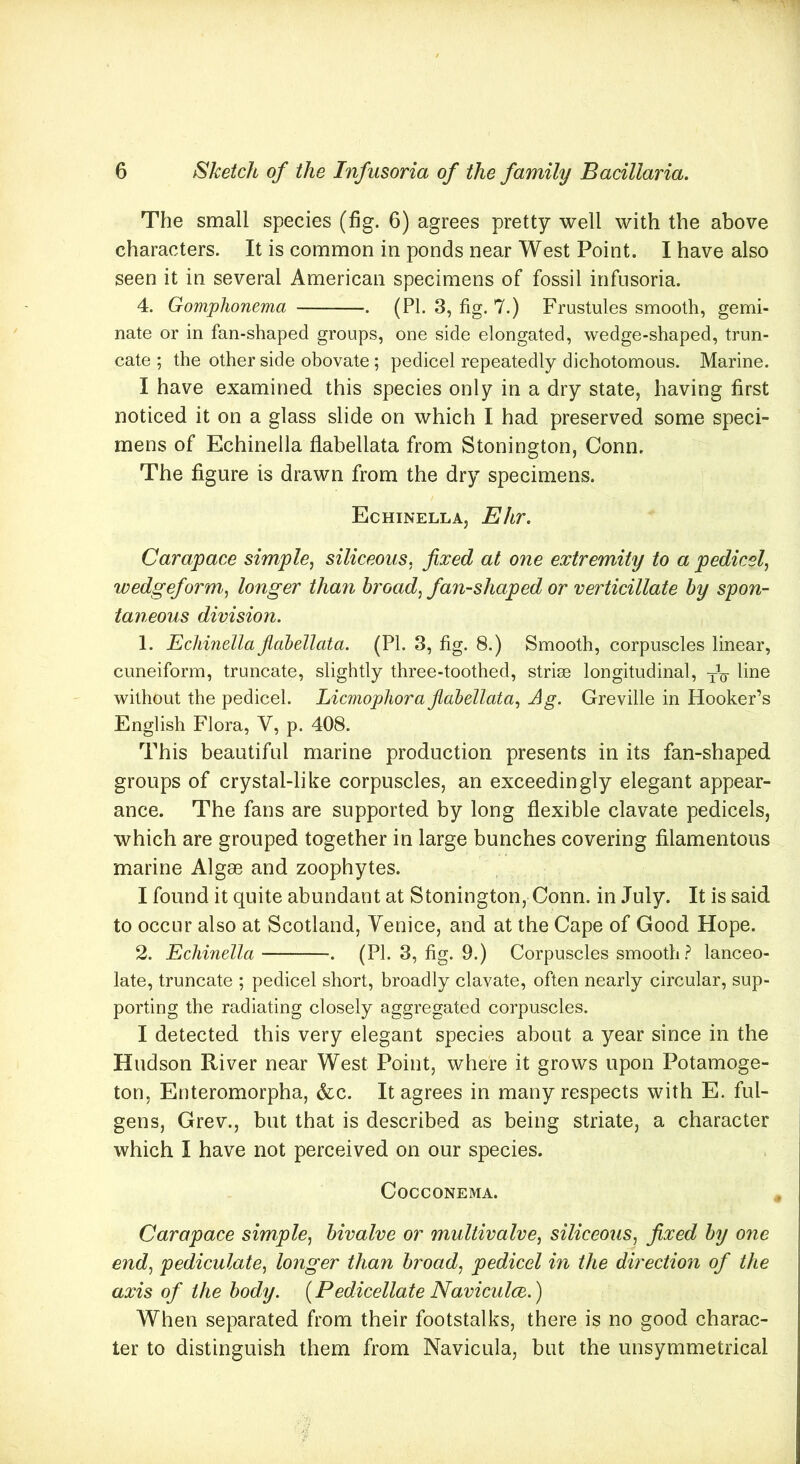 The small species (fig. 6) agrees pretty well with the above characters. It is common in ponds near West Point. I have also seen it in several American specimens of fossil infusoria. 4. Gomphonema . (PI. 3, fig. 7.) Frustules smooth, gemi- nate or in fan-shaped groups, one side elongated, wedge-shaped, trun- cate ; the other side obovate; pedicel repeatedly dichotomous. Marine. I have examined this species only in a dry state, having first noticed it on a glass slide on which I had preserved some speci- mens of Echinella flabellata from Stonington, Conn. The figure is drawn from the dry specimens. Echinella, Ehr. Carapace simple, siliceous, fixed at one extremity to a pedicel, wedgeform, longer than broad, fan-shaped or verticillate by spon- taneous division. 1. Echinella fiabellata. (PL 3, fig. 8.) Smooth, corpuscles linear, cuneiform, truncate, slightly three-toothed, strise longitudinal, TV line without the pedicel. Licmophora flabellata, Ag. Greville in Hooker’s English Flora, V, p. 408. This beautiful marine production presents in its fan-shaped groups of crystal-like corpuscles, an exceedingly elegant appear- ance. The fans are supported by long flexible clavate pedicels, which are grouped together in large bunches covering filamentous marine Algae and zoophytes. I found it quite abundant at Stonington, Conn, in July. It is said to occur also at Scotland, Venice, and at the Cape of Good Hope. 2. Echinella . (PI. 3, fig. 9.) Corpuscles smooth? lanceo- late, truncate ; pedicel short, broadly clavate, often nearly circular, sup- porting the radiating closely aggregated corpuscles. I detected this very elegant species about a year since in the Hudson River near West Point, where it grows upon Fotamoge- ton, Enteromorpha, &c. It agrees in many respects with E. ful- gens, Grev., but that is described as being striate, a character which I have not perceived on our species. Cocconema. Carapace simple, bivalve or multivalve, siliceous, fixed by one end, pediculate, longer than broad, pedicel in the direction of the axis of the body. (Pedicellate Naviculce.) When separated from their footstalks, there is no good charac- ter to distinguish them from Navicula, but the unsymmetrical