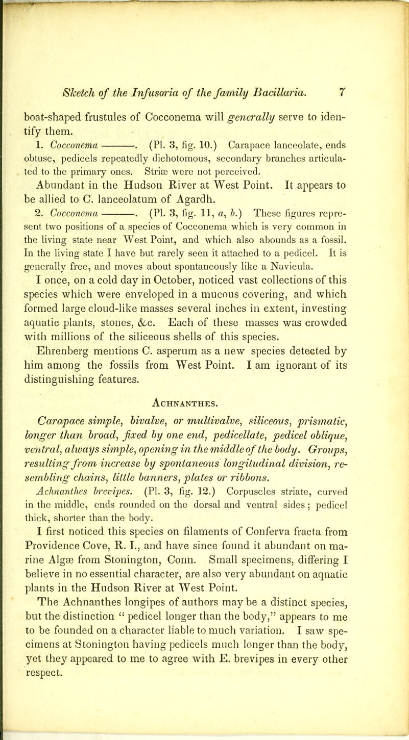 boat-shaped frustules of Cocconema will generally serve to iden- tify them. 1. Cocconema . (PL 3, fig. 10.) Carapace lanceolate, ends obtuse, pedicels repeatedly dichotomous, secondary branches articula- ted to the primary ones. Striae were not perceived. Abundant in the Hudson River at West Point. It appears to be allied to C. lanceolatum of Agardh. 2. Cocconema . (PI. 3, fig. 11, a, b.) These figures repre- sent two positions of a species of Cocconema which is very common in the living state near West Point, and which also abounds as a fossil. In the living state I have but rarely seen it attached to a pedicel. It is generally free, and moves about spontaneously like a Navicula. I once, on a cold day in October, noticed vast collections of this species which were enveloped in a mucous covering, and which formed large cloud-like masses several inches in extent, investing aquatic plants, stones, &c. Each of these masses was crowded with millions of the siliceous shells of this species. Ehrenberg mentions 0. asperum as a new species detected by him among the fossils from West Point. I am ignorant of its distinguishing features. Achnanthes. Carapace simple, bivalve, or multivalve, siliceous, prismatic, longer than broad, fixed by one end, pedicellate, pedicel oblique, ventral, always simple, opening in the middle of the body. Groups, resulting from increase by spontaneous longitudinal division, re- sembling chains, little banners, plates or ribbons. Achnanthes brevipes. (PI. 3, fig. 12.) Corpuscles striate, curved in the middle, ends rounded on the dorsal and ventral sides; pedicel thick, shorter than the body. I first noticed this species on filaments of Conferva fracta from Providence Cove, R. I., and have since found it abundant on ma- rine Algse from Stonington, Conn. Small specimens, differing I believe in no essential character, are also very abundant on aquatic plants in the Hudson River at West Point. The Achnanthes longipes of authors may be a distinct species, but the distinction “ pedicel longer than the body,” appears to me to be founded on a character liable to much variation. I saw spe- cimens at Stonington having pedicels much longer than the body, yet they appeared to me to agree with E. brevipes in every other respect.
