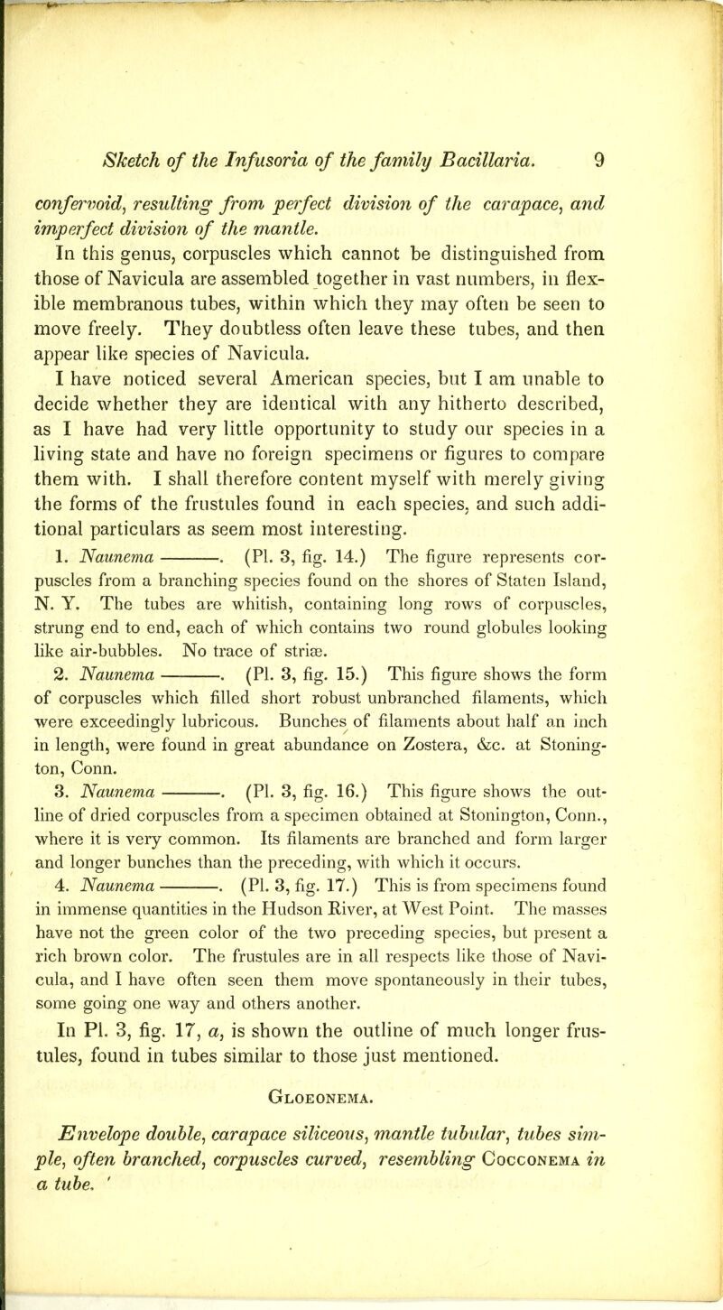 confer void, resulting from perfect division of the carapace, and imperfect division of the mantle. In this genus, corpuscles which cannot be distinguished from those of Navicula are assembled together in vast numbers, in flex- ible membranous tubes, within w’hich they may often be seen to move freely. They doubtless often leave these tubes, and then appear like species of Navicula. I have noticed several American species, but I am unable to decide whether they are identical with any hitherto described, as I have had very little opportunity to study our species in a living state and have no foreign specimens or figures to compare them with. I shall therefore content myself with merely giving the forms of the frustules found in each species, and such addi- tional particulars as seem most interesting. 1. Naunema . (PI. 3, fig. 14.) The figure represents cor- puscles from a branching species found on the shores of Staten Island, N. Y. The tubes are whitish, containing long rows of corpuscles, strung end to end, each of which contains two round globules looking like air-bubbles. No trace of striae. 2. Naunema . (PI. 3, fig. 15.) This figure shows the form of corpuscles which filled short robust unbranched filaments, which were exceedingly lubricous. Bunches of filaments about half an inch in length, were found in great abundance on Zostera, &c. at Stoning- ton, Conn. 3. Naunema — -. (PL 3, fig. 16.) This figure shows the out- line of dried corpuscles from a specimen obtained at Stonington, Conn., where it is very common. Its filaments are branched and form larger and longer bunches than the preceding, with which it occurs. 4. Naunema . (PI. 3, fig. 17.) This is from specimens found in immense quantities in the Hudson River, at West Point. The masses have not the green color of the two preceding species, but present a rich brown color. The frustules are in all respects like those of Navi- cula, and I have often seen them move spontaneously in their tubes, some going one way and others another. In PI. 3, fig. 17, a, is shown the outline of much longer frus- tules, found in tubes similar to those just mentioned. Gloeonema. Envelope double, carapace siliceous, mantle tubular, tubes sim- ple, often branched, corpuscles curved, resembling Cocconema in a tube, '