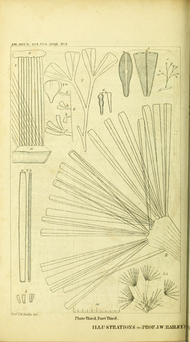 AM..roni. scx.voL.ixiiE