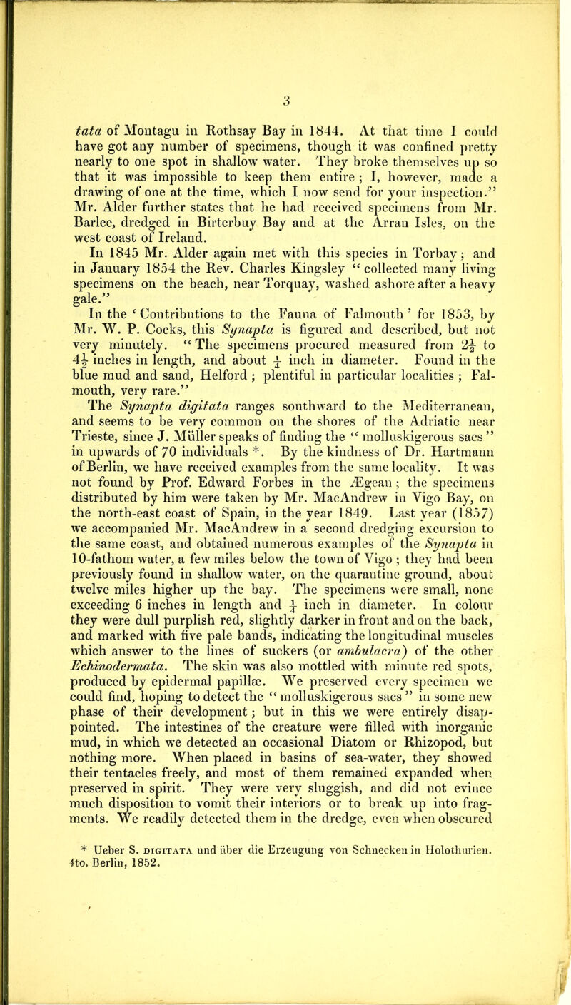 tata of Montagu in Rothsay Bay in 1844. At that time I could have got any number of specimens, though it was confined pretty nearly to one spot in shallow water. They broke themselves up so that it was impossible to keep them entire ; I, however, made a drawing of one at the time, which I now send for your inspection.” Mr. Alder further states that he had received specimens from Mr. Barlee, dredged in Birterbuy Bay and at the Arran Isles, on the west coast of Ireland. In 1845 Mr. Alder again met with this species in Torbay; and in January 1854 the Rev. Charles Kingsley “ collected many living specimens on the beach, near Torquay, washed ashore after a heavy gale.” In the ‘Contributions to the Fauna of Falmouth’ for 1853, by Mr. W. P. Cocks, this Synapta is figured and described, but not very minutely. “ The specimens procured measured from 2\ to 4^ inches in length, and about \ inch in diameter. Found in the blue mud and sand, Helford ; plentiful in particular localities ; Fal- mouth, very rare.” The Synapta digitata ranges southward to the Mediterranean, and seems to be very common on the shores of the Adriatic near Trieste, since J. Muller speaks of finding the “ molluskigerous sacs ” in upwards of 70 individuals *. By the kindness of Dr. Hartmann of Berlin, we have received examples from the same locality. It was not found by Prof. Edward Forbes in the Aegean; the specimens distributed by him were taken by Mr. MacAndrew in Vigo Bay, on the north-east coast of Spain, in the year 1849. Last year (1857) we accompanied Mr. MacAndrew in a second dredging excursion to the same coast, and obtained numerous examples of the Synapta in 10-fathom water, a few miles below the town of Vigo ; they had been previously found in shallow water, on the quarantine ground, about twelve miles higher up the bay. The specimens were small, none exceeding 6 inches in length and \ inch in diameter. In colour they were dull purplish red, slightly darker in front and on the back, and marked with five pale bands, indicating the longitudinal muscles which answer to the lines of suckers (or ambulacra) of the other Echinodermata. The skin was also mottled with minute red spots, produced by epidermal papillae. We preserved every specimen we could find, hoping to detect the “ molluskigerous sacs ” in some new phase of their development; but in this we were entirely disap- pointed. The intestines of the creature were filled with inorganic mud, in which we detected an occasional Diatom or Rhizopod, but nothing more. When placed in basins of sea-water, they showed their tentacles freely, and most of them remained expanded when preserved in spirit. They were very sluggish, and did not evince much disposition to vomit their interiors or to break up into frag- ments. We readily detected them in the dredge, even when obscured * Ueber S. digitata und iiber die Erzeugung von Schnecken in Holothurien. 4to. Berlin, 1852.