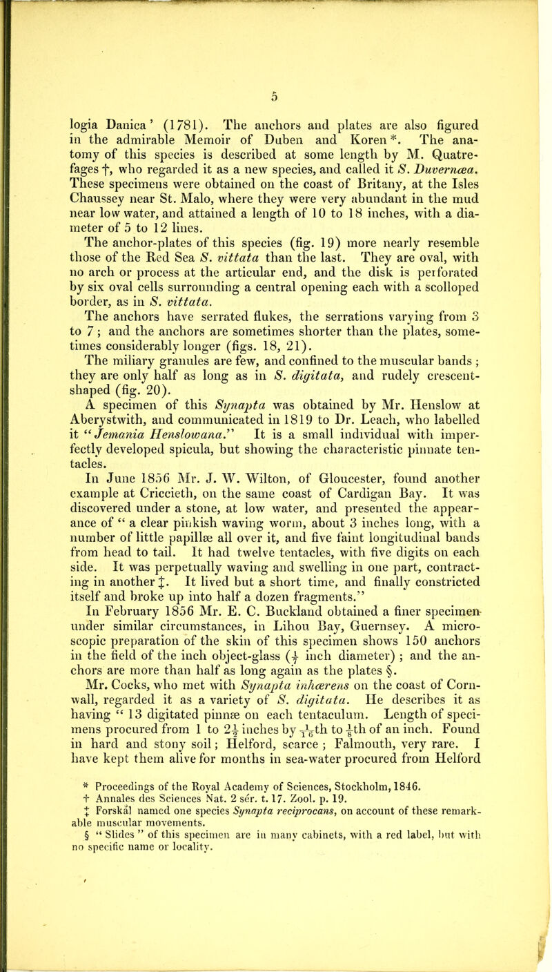 logia Danica ’ (1/81). The anchors and plates are also figured in the admirable Memoir of Duben and Koren * * * §. The ana- tomy of this species is described at some length by M. Quatre- fages f, who regarded it as a new species, and called it S. Duverncea. These specimens were obtained on the coast of Britany, at the Isles Chaussey near St. Malo, where they were very abundant in the mud near low water, and attained a length of 10 to 18 inches, with a dia- meter of 5 to 12 lines. The anchor-plates of this species (fig. 19) more nearly resemble those of the Red Sea S. vittata than the last. They are oval, with no arch or process at the articular end, and the disk is perforated by six oval cells surrounding a central opening each with a scolloped border, as in S. vittata. The anchors have serrated flukes, the serrations varying from 3 to 7; and the anchors are sometimes shorter than the plates, some- times considerably longer (figs. 18, 21). The miliary granules are few, and confined to the muscular bands ; they are onlv half as long as in S. diqitata, and rudely crescent- shaped (fig. 20). A specimen of this Synapta was obtained by Mr. Henslow at Aberystwith, and communicated in 1819 to Dr. Leach, who labelled it “ Jemania Henslow ana.9' It is a small individual with imper- fectly developed spicula, but showing the characteristic pinnate ten- tacles. In June 1856 Mr. J. W. Wilton, of Gloucester, found another example at Criccieth, on the same coast of Cardigan Bay. It was discovered under a stone, at low water, and presented the appear- ance of “ a clear pinkish waving worm, about 3 inches long, with a number of little papillae all over it, and five faint longitudinal bands from head to tail. It had twelve tentacles, with five digits on each side. It was perpetually waving and swelling in one part, contract- ing in another J. It lived but a short time, and finally constricted itself and broke up into half a dozen fragments.” In February 1856 Mr. E. C. Buckland obtained a finer specimen- under similar circumstances, in Lihou Bay, Guernsey. A micro- scopic preparation of the skin of this specimen shows 150 anchors in the field of the inch object-glass (^ inch diameter) ; and the an- chors are more than half as long again as the plates §. Mr. Cocks, who met with Synapta inhcerens on the coast of Corn- wall, regarded it as a variety of S. digitata. He describes it as having “ 13 digitated pinnse on each tentaculum. Length of speci- mens procured from 1 to inches by y^th to -|-th of an inch. Found in hard and stony soil; Helford, scarce ; Falmouth, very rare. I have kept them alive for months in sea-water procured from Helford * Proceedings of the Royal Academy of Sciences, Stockholm, 1846. t Annales des Sciences Nat. 2 ser. 1.1-7. Zool. p. 19. X Forskal named one species Synapta reciprocans, on account of these remark- able muscular movements. § “ Slides ” of this specimen are in many cabinets, with a red label, but with no specific name or locality.