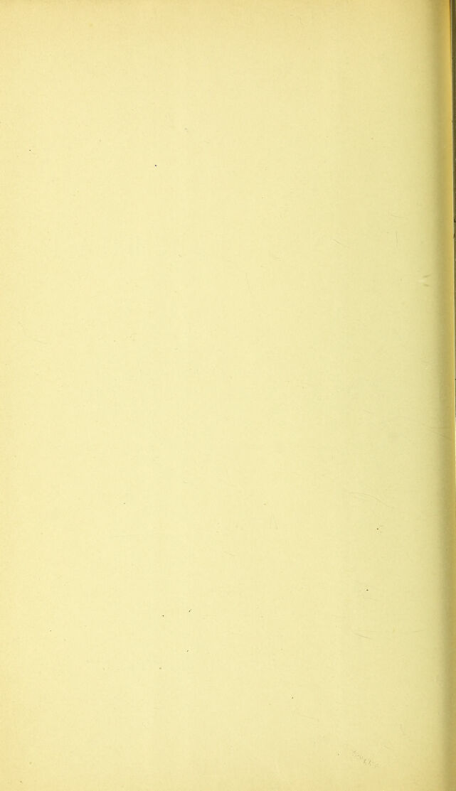 digitised image 2