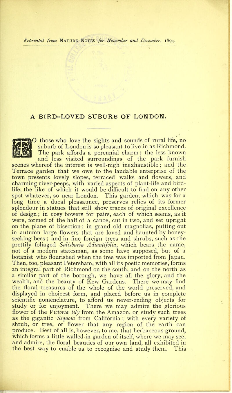 Reprinted from Nature Notes for November and December, 1894. A BIRD-LOVED SUBURB OF LONDON. those who love the sights and sounds of rural life, no suburb of London is so pleasant to live in as Richmond. The park affords a perennial charm; the less known and less visited surroundings of the park furnish scenes whereof the interest is well-nigh inexhaustible; and the Terrace garden that we owe to the laudable enterprise of the town presents lovely slopes, terraced walks and flowers, and charming river-peeps, with varied aspects of plant-life and bird- life, the like of which it would be difficult to find on any other spot whatever, so near London. This garden, which was for a long time a ducal pleasaunce, preserves relics of its former splendour in statues that still show traces of original excellence of design ; in cosy bowers for pairs, each of which seems, as it were, formed of the half of a canoe, cut in two, and set upright on the plane of bisection ; in grand old magnolias, putting out in autumn large flowers that are loved and haunted by honey- seeking bees ; and in fine foreign trees and shrubs, such as the prettily foliaged Salishiiria Adimitifolia, which bears the name, not of a modern statesman, as some have supposed, but of a botanist who flourished when the tree was imported from Japan. Then, too, pleasant Petersham, with all its poetic memories, forms an integral part of Richmond on the south, and on the north as a similar part of the borough, we have all the glory, and the wealth, and the beauty of Kew Gardens. There we may find the floral treasures of the whole of the world preserved, and displayed in choicest form, and placed before us in complete scientific nomenclature, to afford us never-ending objects for study or for enjoyment. There we may admire the glorious flower of the Victoria lily from the Amazon, or study such trees as the gigantic Sequoia from California ; with every variety of shrub, or tree, or flower that any region of the earth can produce. Best of all is, however, to me, that herbaceous ground, which forms a little walled-in garden of itself, where we may see, and admire, the floral beauties of our own land, all exhibited in the best way to enable us to recognise and study them. This