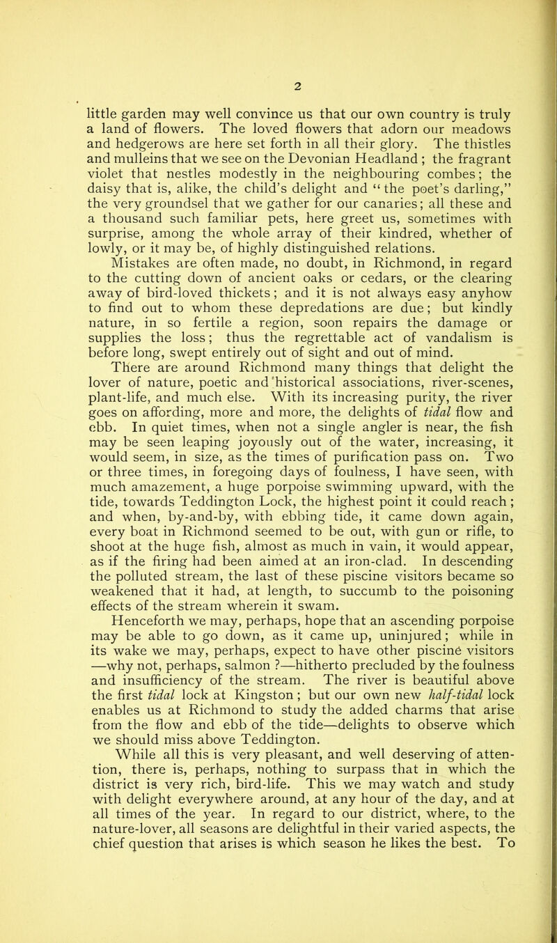 little garden may well convince us that our own country is truly a land of flowers. The loved flowers that adorn our meadows and hedgerows are here set forth in all their glory. The thistles and mulleins that we see on the Devonian Headland ; the fragrant violet that nestles modestly in the neighbouring combes; the daisy that is, alike, the child’s delight and “ the poet’s darling,” the very groundsel that we gather for our canaries; all these and a thousand such familiar pets, here greet us, sometimes with surprise, among the whole array of their kindred, whether of lowly, or it may be, of highly distinguished relations. Mistakes are often made, no doubt, in Richmond, in regard to the cutting down of ancient oaks or cedars, or the clearing away of bird-loved thickets; and it is not alwa5;^s easy anyhow to find out to whom these depredations are due; but kindly nature, in so fertile a region, soon repairs the damage or supplies the loss; thus the regrettable act of vandalism is before long, swept entirely out of sight and out of mind. There are around Richmond many things that delight the lover of nature, poetic and ^historical associations, river-scenes, plant-life, and much else. With its increasing purity, the river goes on affording, more and more, the delights of tidal flow and ebb. In quiet times, when not a single angler is near, the fish may be seen leaping joyously out of the water, increasing, it would seem, in size, as the times of purification pass on. Two or three times, in foregoing days of foulness, I have seen, with much amazement, a huge porpoise swimming upward, with the tide, towards Teddington Lock, the highest point it could reach; and when, by-and-by, with ebbing tide, it came down again, every boat in Richmond seemed to be out, with gun or rifle, to shoot at the huge fish, almost as much in vain, it would appear, as if the firing had been aimed at an iron-clad. In descending the polluted stream, the last of these piscine visitors became so weakened that it had, at length, to succumb to the poisoning effects of the stream wherein it swam. Henceforth we may, perhaps, hope that an ascending porpoise may be able to go down, as it came up, uninjured; while in its wake we may, perhaps, expect to have other piscina visitors —why not, perhaps, salmon ?—hitherto precluded by the foulness and insufficiency of the stream. The river is beautiful above the first tidal lock at Kingston ; but our own new half-tidal lock enables us at Richmond to study the added charms that arise from the flow and ebb of the tide—delights to observe which we should miss above Teddington. While all this is very pleasant, and well deserving of atten- tion, there is, perhaps, nothing to surpass that in which the district is very rich, bird-life. This we may watch and study with delight everywhere around, at any hour of the day, and at all times of the year. In regard to our district, where, to the nature-lover, all seasons are delightful in their varied aspects, the chief question that arises is which season he likes the best. To