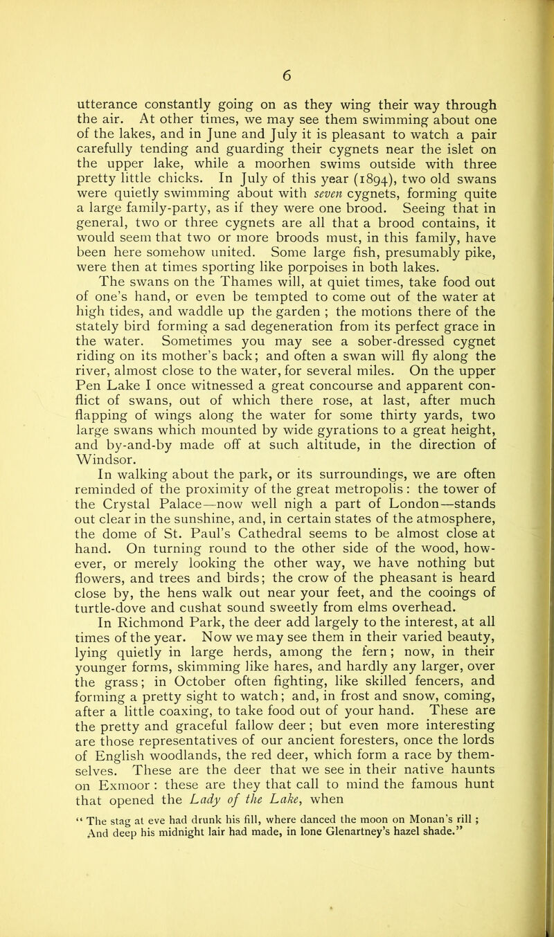 utterance constantly going on as they wing their way through the air. At other times, we may see them swimming about one of the lakes, and in June and July it is pleasant to watch a pair carefully tending and guarding their cygnets near the islet on the upper lake, while a moorhen swims outside with three pretty little chicks. In July of this year (1894), fwo old swans were quietly swimming about with seven cygnets, forming quite a large family-party, as if they were one brood. Seeing that in general, two or three cygnets are all that a brood contains, it would seem that two or more broods must, in this family, have been here somehow united. Some large fish, presumably pike, were then at times sporting like porpoises in both lakes. The swans on the Thames will, at quiet times, take food out of one’s hand, or even be tempted to come out of the water at high tides, and waddle up the garden ; the motions there of the stately bird forming a sad degeneration from its perfect grace in the water. Sometimes you may see a sober-dressed cygnet riding on its mother’s back; and often a swan will fly along the river, almost close to the water, for several miles. On the upper Pen Lake I once witnessed a great concourse and apparent con- flict of swans, out of which there rose, at last, after much flapping of wings along the water for some thirty yards, two large swans which mounted by wide gyrations to a great height, and by-and-by made off at such altitude, in the direction of Windsor. In walking about the park, or its surroundings, we are often reminded of the proximity of the great metropolis: the tower of the Crystal Palace—now well nigh a part of London—stands out clear in the sunshine, and, in certain states of the atmosphere, the dome of St. Paul’s Cathedral seems to be almost close at hand. On turning round to the other side of the wood, how- ever, or merely looking the other way, we have nothing but flowers, and trees and birds; the crow of the pheasant is heard close by, the hens walk out near your feet, and the cooings of turtle-dove and cushat sound sweetly from elms overhead. In Richmond Park, the deer add largely to the interest, at all times of the year. Now we may see them in their varied beauty, lying quietly in large herds, among the fern; now, in their younger forms, skimming like hares, and hardly any larger, over the grass; in October often fighting, like skilled fencers, and forming a pretty sight to watch; and, in frost and snow, coming, after a little coaxing, to take food out of your hand. These are the pretty and graceful fallow deer; but even more interesting are those representatives of our ancient foresters, once the lords of English woodlands, the red deer, which form a race by them- selves. These are the deer that we see in their native haunts on Exmoor ; these are they that call to mind the famous hunt that opened the Lady of the Lake, when “ The stag at eve had drunk his fill, where danced the moon on Monan’s rill ; And deep his midnight lair had made, in lone Glenartney’s hazel shade.”