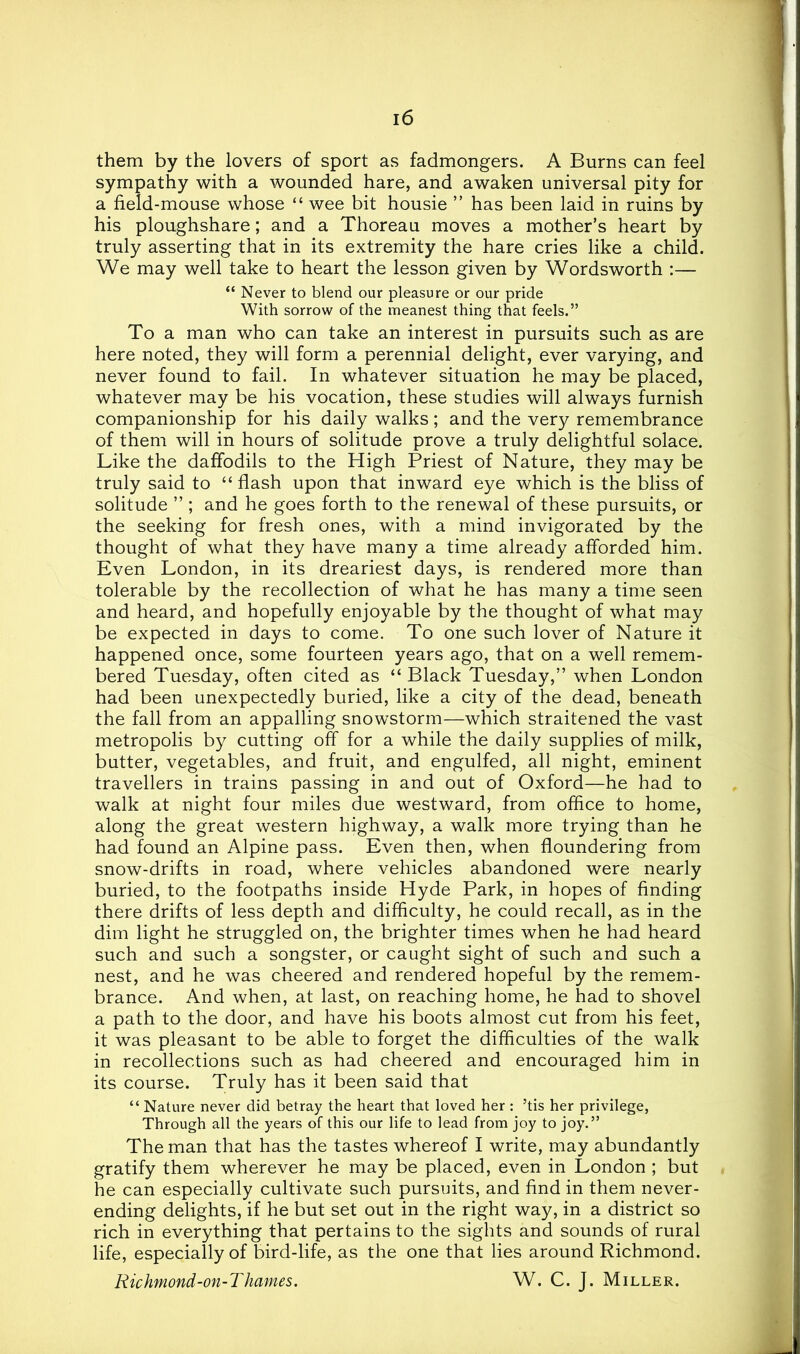 them by the lovers of sport as fadmongers. A Burns can feel sympathy with a wounded hare, and awaken universal pity for a field-mouse whose “ wee bit housie ” has been laid in ruins by his ploughshare; and a Thoreau moves a mother’s heart by truly asserting that in its extremity the hare cries like a child. We may well take to heart the lesson given by Wordsworth :— “ Never to blend our pleasure or our pride With sorrow of the meanest thing that feels.” To a man who can take an interest in pursuits such as are here noted, they will form a perennial delight, ever varying, and never found to fail. In whatever situation he may be placed, whatever may be his vocation, these studies will always furnish companionship for his daily walks; and the very remembrance of them will in hours of solitude prove a truly delightful solace. Like the daffodils to the High Priest of Nature, they may be truly said to “ flash upon that inward eye which is the bliss of solitude ” ; and he goes forth to the renewal of these pursuits, or the seeking for fresh ones, with a mind invigorated by the thought of what they have many a time already afforded him. Even London, in its dreariest days, is rendered more than tolerable by the recollection of what he has many a time seen and heard, and hopefully enjoyable by the thought of what may be expected in days to come. To one such lover of Nature it happened once, some fourteen years ago, that on a well remem- bered Tuesday, often cited as “ Black Tuesday,” when London had been unexpectedly buried, like a city of the dead, beneath the fall from an appalling snowstorm—which straitened the vast metropolis by cutting off for a while the daily supplies of milk, butter, vegetables, and fruit, and engulfed, all night, eminent travellers in trains passing in and out of Oxford—he had to walk at night four miles due westward, from office to home, along the great western highway, a walk more trying than he had found an Alpine pass. Even then, when floundering from snow-drifts in road, where vehicles abandoned were nearly buried, to the footpaths inside Hyde Park, in hopes of finding there drifts of less depth and difficulty, he could recall, as in the dim light he struggled on, the brighter times when he had heard such and such a songster, or caught sight of such and such a nest, and he was cheered and rendered hopeful by the remem- brance. And when, at last, on reaching home, he had to shovel a path to the door, and have his boots almost cut from his feet, it was pleasant to be able to forget the difficulties of the walk in recollections such as had cheered and encouraged him in its course. Truly has it been said that “ Nature never did betray the heart that loved her : ’tis her privilege, Through all the years of this our life to lead from joy to joy.” The man that has the tastes whereof I write, may abundantly gratify them wherever he may be placed, even in London ; but he can especially cultivate such pursuits, and find in them never- ending delights, if he but set out in the right way, in a district so rich in everything that pertains to the sights and sounds of rural life, especially of bird-life, as the one that lies around Richmond. Richmond-on-Thames. W. C. J. Miller.