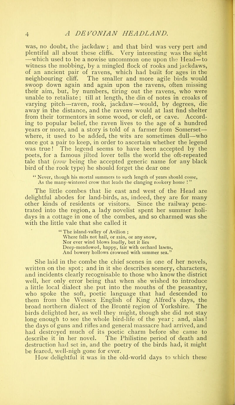 was, no doubt, the jackdaw ; and that bird was very pert and plentiful all about these cliffs. Very interesting was the sight —which used to be a nowise uncommon one upon the Head—to witness the mobbing, by a mingled flock of rooks and jackdaws, of an ancient pair of ravens, which had built for ages in the neighbouring cliff. The smaller and more agile birds would swoop down again and again upon the ravens, often missing their aim, but, by numbers, tiring out the ravens, who were unable to retaliate; till at length, the din of notes in croaks of varying pitch—raven, rook, jackdaw—would, by degrees, die away in the distance, and the ravens would at last find shelter from their tormentors in some wood, or cleft, or cave. Accord- ing to popular belief, the raven lives to the age of a hundred years or more, and a story is told of a farmer from Somerset— where, it used to be added, the wits are sometimes dull—who once got a pair to keep, in order to ascertain whether the legend was true! The legend seems to have been accepted by the poets, for a famous jilted lover tells the world the oft-repeated tale that {cvow being the accepted generic name for any black bird of the rook type) he should forget the dear one “ Never, though his mortal summers to such length of years should come, As the many-wintered crow that leads the clanging rookery home ! ” The little combes that lie east and west of the Head are delightful abodes for land-birds, as, indeed, they are for many other kinds of residents or visitors. Since the railway pene- trated into the region, a lady novelist spent her summer holi- days in a cottage in one of the combes, and so charmed was she with the little vale that she called it “ The island-valley of Avilion ; Where falls not hail, or rain, or any snow, Nor ever wind blows loudly, but it lies Deep-meadowed, happy, fair with orchard lawns. And bowery hollows crowned with summer sea.” She laid in the combe the chief scenes in one of her novels, written on the spot; and in it she describes scenery, characters, and incidents clearly recognisable to those who know the district well, her only error being that when she wished to introduce a little local dialect she put into the mouths of the peasantry, who spoke the soft, poetic language that had descended to them from the Wessex English of King Alfred’s days, the broad northern dialect of the Bronte region of Yorkshire. The birds delighted her, as well they might, though she did not stay long enough to see the whole bird-life of the year ; and, alas! the days of guns and rifles and general massacre had arrived, and had destroyed much of its poetic charm before she came to describe it in her novel. The Philistine period of death and destruction had set in, and the poetry of the birds had, it might be feared, well-nigh gone for ever. How delightful it was in the old-world days to which these