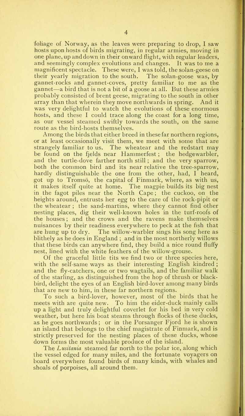 foliage of Norway, as the leaves were preparing to drop, I saw hosts upon hosts of birds migrating, in regular armies, moving in one plane, up and down in their onward flight, with regular leaders, and seemingly complex evolutions and changes. It was to me a magnificent spectacle. These were, 1 was told, the solan-geese on their yearly migration to the south. The solan-goose was, by gannet-rocks and gannet-coves, pretty familiar to me as the gannet—a bird that is not a bit of a goose at all. But these armies probably consisted of brent geese, migrating to the south in other array than that wherein they move northwards in spring. And it was very delightful to watch the evolutions of these enormous hosts, and these I could trace along the coast for a long time, as our vessel steamed swiftly towards the south, on the same route as the bird-hosts themselves. Among the birds that either breed in these far northern regions, or at least occasionally visit them, we meet with some that are strangely familiar to us. The wheatear and the redstart may be found on the fjelds near Hammerfest ; the hedgewarbler, and the turtle-dove farther north still ; and the very sparrow, both the common bird and its near relative the tree-sparrow, hardly distinguishable the one from the other, had, I heard, got up to Tromso, the capital of Finmark, where, as with us, it makes itself quite at home. The magpie builds its big nest in the fagot piles near the North Cape; the cuckoo, on the heights around, entrusts her egg to the care of the rock-pipit or the wheatear ; the sand-martins, where they cannot find other nesting places, dig their well-known holes in the turf-roofs of the houses; and the crows and the ravens make themselves nuisances by their readiness everywhere to peck at the fish that are hung up to dry. The willow-warbler sings his song here as blithely as he does in England ; and in the most northerly willows that these birds can anywhere find, they build a nice round fluffy nest, lined with the white feathers of the willow-grouse. Of the graceful little tits we find two or three species here, with the self-same ways as their interesting English kindred ; and the fly-catchers, one or two wagtails, and the familiar walk of the starling, as distinguished from the hop of thrush or black- bird, delight the eyes of an English bird-lover among many birds that are new to him, in these far northern regions. To such a bird-lover, however, most of the birds that he meets with are quite new. To him the eider-duck mainly calls up a light and truly delightful coverlet for his bed in very cold weather, but here his boat steams through flocks of these ducks, as he goes northwards; or in the Porsanger Fjord he is shown an island that belongs to the chief magistrate of Finmark, and is strictly preserved for the nesting places of these ducks, whose down forms the most valuable produce of the island. The Lusitania steamed far north to the polar ice, along which the vessel edged for many miles, and the fortunate voyagers on board everywhere found birds of many kinds, with whales and shoals of porpoises, all around them.