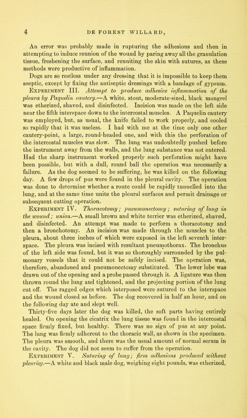 An error was probably made in rapturing the adhesions and then in attempting to induce reunion of the wound by paring away all the granulation tissue, freshening the surface, and reuniting the skin with sutures, as these methods were productive of inflammation. Dogs are so restless under any dressing that it is impossible to keep them aseptic, except by fixing the antiseptic dressings with a bandage of gypsum. Experiment III. Attempt to produce adhesive inflammation of the pleura by Paquelin cautery.—A white, stout, moderate-sized, black mongrel was etherized, shaved, and disinfected. Incision was made on the left side near the fifth interspace down to the intercostal muscles. A Paquelin cautery was employed, but, as usual, the knife failed to work properly, and cooled so rapidly that it was useless. I had with me at the time only one other cautery-point, a large, round-headed one, and with this the perforation of the intercostal muscles was slow. The lung was undoubtedly pushed before the instrument away from the walls, and the lung substance was not entered. Had the sharp instrument worked properly such perforation might have been possible, but with a dull, round ball the operation was necessarily a failure. As the dog seemed to be suffering, he was killed on the following day. A few drops of pus were found in the pleural cavity. The operation was done to determine whether a route could be rapidly tunnelled into the lung, and at the same time unite the pleural surfaces and permit drainage or subsequent cutting operation. Experiment IV. Thoracotomy; pneumonectomy; suturing of lung in the wound; union.—A small brown and white terrier was etherized, shaved, and disinfected. An attempt was made to perform a thoracotomy and then a bronchotomy. An incision was made through the muscles to the pleura, about three inches of which were exposed in the left seventh inter- space. The pleura was incised with resultant pneumothorax. The bronchus of the left side was found, but it was so thoroughly surrounded by the pul- monary vessels that it could not be safely incised. The operation was, therefore, abandoned and pneumonectomy substituted. The lower lobe was drawn out of the opening and a probe passed through it. A ligature was then thrown round the lung and tightened, and the projecting portion of the lung cut off. The ragged edges which interposed were sutured to the interspace and the wound closed as before. The dog recovered in half an hour, and on the following day ate and slept well. Thirty-five days later the dog was killed, the soft parts having entirely healed. On opening the cicatrix the lung tissue was found in the intercostal space firmly fixed, but healthy. There was no sign of pus at any point. The lung was firmly adherent to the thoracic wall, as shown in the specimen. The pleura was smooth, and there was the usual amount of normal serum in the cavity. The dog did not seem to suffer from the operation. Experiment Y. Suturing of lung; firm adhesions produced without pleurisy.—A white and black male dog, weighing eight pounds, was etherized.