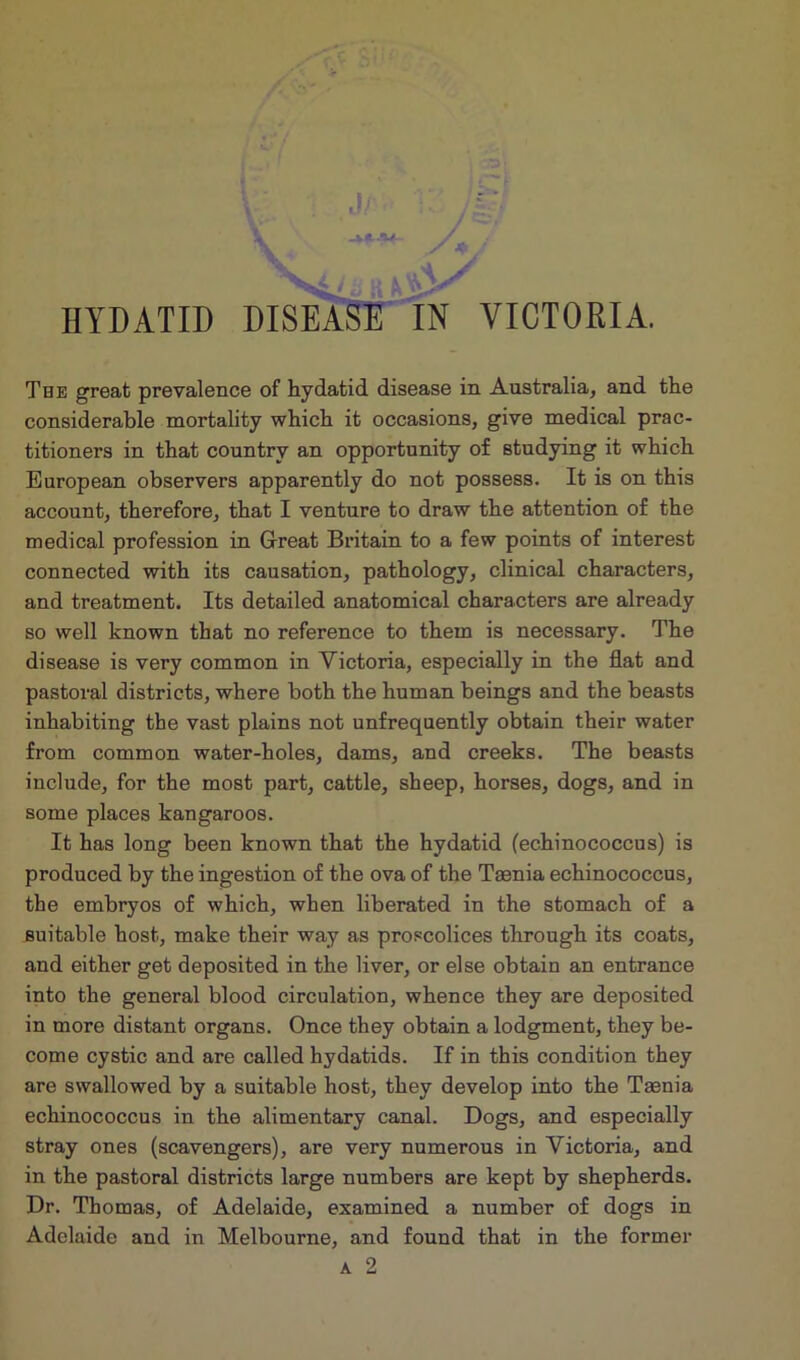 : J C-. HYDATID DISEASE IN VICTORIA. The great prevalence of hydatid disease in Australia, and the considerable mortality which it occasions, give medical prac- titioners in that country an opportunity of studying it which European observers apparently do not possess. It is on this account, therefore, that I venture to draw the attention of the medical profession in Great Britain to a few points of interest connected with its causation, pathology, clinical characters, and treatment. Its detailed anatomical characters are already so well known that no reference to them is necessary. The disease is very common in Victoria, especially in. the flat and pastoral districts, where both the human beings and the beasts inhabiting the vast plains not unfrequently obtain their water from common water-holes, dams, and creeks. The beasts include, for the most part, cattle, sheep, horses, dogs, and in some places kangaroos. It has long been known that the hydatid (echinococcus) is produced by the ingestion of the ova of the Taenia echinococcus, the embryos of which, when liberated in the stomach of a suitable host, make their way as proscolices through its coats, and either get deposited in the liver, or else obtain an entrance into the general blood circulation, whence they are deposited in more distant organs. Once they obtain a lodgment, they be- come cystic and are called hydatids. If in this condition they are swallowed by a suitable host, they develop into the Taenia echinococcus in the alimentary canal. Dogs, and especially stray ones (scavengers), are very numerous in Victoria, and in the pastoral districts large numbers are kept by shepherds. Dr. Thomas, of Adelaide, examined a number of dogs in Adelaide and in Melbourne, and found that in the former a 2