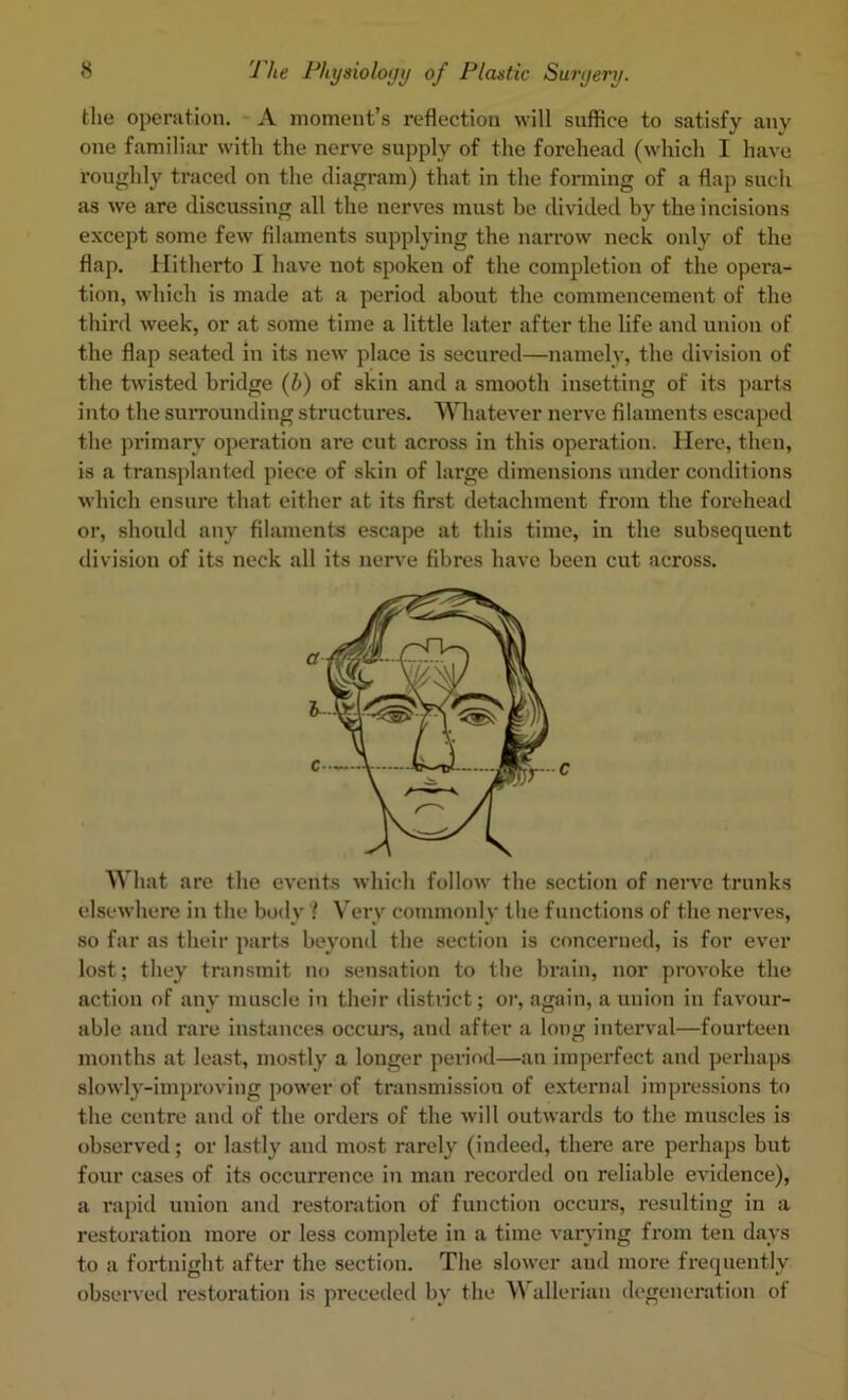 the operation. A moment’s reflection will suffice to satisfy any one familiar with the nerve supply of the forehead (which I have roughly traced on the diagram) that in the forming of a flap such as we are discussing all the nerves must be divided by the incisions except some few filaments supplying the narrow neck only of the flap. Hitherto I have not spoken of the completion of the opera- tion, which is made at a period about the commencement of the third week, or at some time a little later after the life and union of the flap seated in its new place is secured—namely, the division of the twisted bridge (b) of skin and a smooth insetting of its parts into the surrounding structures. Whatever nerve filaments escaped the primary operation are cut across in this operation. Here, then, is a transplanted piece of skin of large dimensions under conditions which ensure that either at its first detachment from the foiehead or, should any filaments escape at this time, in the subsequent division of its neck all its nerve fibres have been cut across. What are the events which follow the section of nerve trunks elsewhere in the body I Very commonly the functions of the nerves, so far as their parts beyond the section is concerned, is for ever lost; they transmit no sensation to the brain, nor provoke the action of any muscle in their district; or, again, a union in favour- able and rare instances occuj*s, and after a long interval—fourteen months at least, mostly a longer period—an imperfect and perhaps slowly-improving power of transmission of external impressions to the centre and of the orders of the will outwards to the muscles is observed; or lastly and most rarely (indeed, there are perhaps but four cases of its occurrence in man recorded on reliable evidence), a I'apid union and restoration of function occurs, resulting in a restoration more or less complete in a time A-arjdng from ten days to a fortnight after the section. The slower and more frequently observed restoration is preceded by the \^ allerian degeneration of