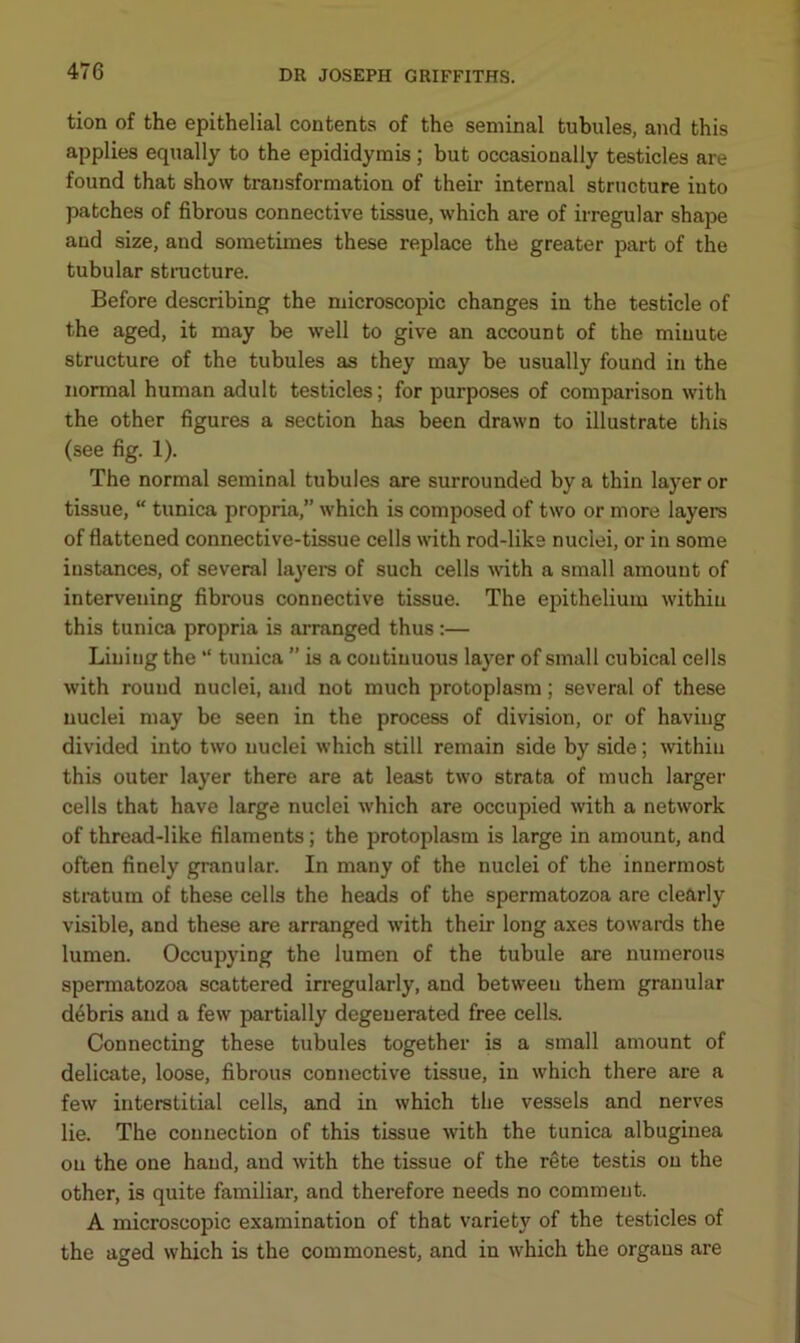 tion of the epithelial contents of the seminal tubules, and this applies equally to the epididymis; but occasionally testicles are found that show transformation of their internal structure into patches of fibrous connective tissue, which are of irregular shape and size, and sometimes these replace the greater part of the tubular structure. Before describing the microscopic changes in the testicle of the aged, it may be well to give an account of the minute structure of the tubules as they may be usually found in the normal human adult testicles; for purposes of comparison with the other figures a section has been drawn to illustrate this (see fig. 1). The normal seminal tubules are surrounded by a thin layer or tissue, “ tunica propria,” which is composed of two or more layers of flattened connective-tissue cells with rod-like nuclei, or in some instances, of several layers of such cells with a small amount of intervening fibrous connective tissue. The epithelium within this tunica propria is arranged thus:— Lining the “ tunica ” is a continuous layer of small cubical cells with round nuclei, and not much protoplasm; several of these nuclei may be seen in the process of division, or of having divided into two nuclei which still remain side by side; within this outer layer there are at least two strata of much larger cells that have large nuclei which are occupied with a network of thread-like filaments; the protoplasm is large in amount, and often finely granular. In many of the nuclei of the innermost stratum of these cells the heads of the spermatozoa are clearly visible, and these are arranged with their long axes towards the lumen. Occupying the lumen of the tubule are numerous spermatozoa scattered irregularly, and between them granular debris and a few partially degenerated free cells. Connecting these tubules together is a small amount of delicate, loose, fibrous connective tissue, in which there are a few interstitial cells, and in which the vessels and nerves lie. The connection of this tissue with the tunica albuginea on the one hand, and with the tissue of the rete testis on the other, is quite familiar, and therefore needs no comment. A microscopic examination of that variety of the testicles of the aged which is the commonest, and in which the organs are