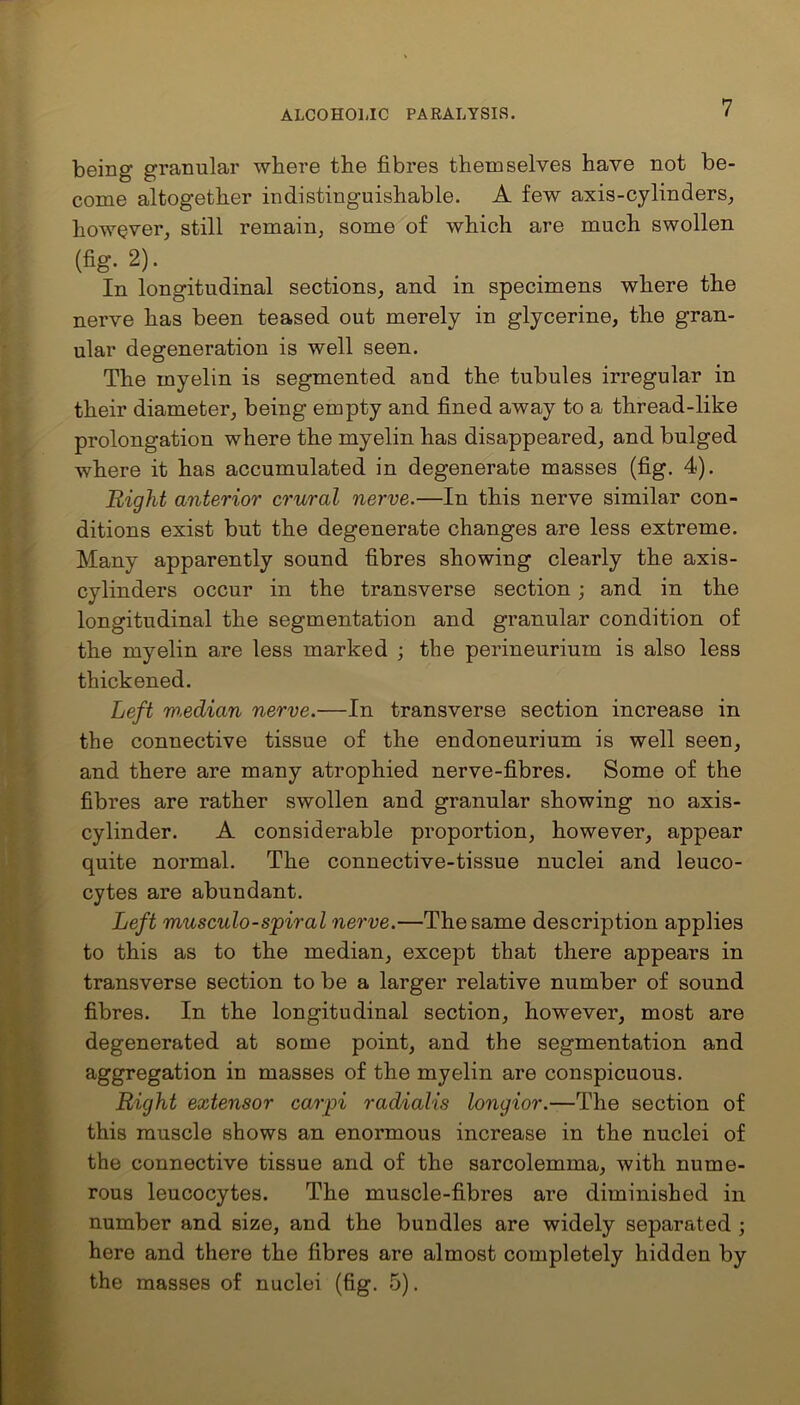 being granular where the fibres themselves have not be- come altogether indistinguishable. A few axis-cylinders, however, still remain, some of which are much swollen (fig- 2). In longitudinal sections, and in specimens where the nerve has been teased out merely in glycerine, the gran- ular degeneration is well seen. The myelin is segmented and the tubules irregular in their diameter, being empty and fined away to a thread-like prolongation where the myelin has disappeared, and bulged where it has accumulated in degenerate masses (fig. 4). Right anterior crural nerve.—In this nerve similar con- ditions exist but the degenerate changes are less extreme. Many apparently sound fibres showing clearly the axis- cylinders occur in the transverse section; and in the longitudinal the segmentation and granular condition of the myelin are less marked ; the perineurium is also less thickened. Left median nerve.—In transverse section increase in the connective tissue of the endoneurium is well seen, and there are many atrophied nerve-fibres. Some of the fibres are rather swollen and granular showing no axis- cylinder. A considerable proportion, however, appear quite normal. The connective-tissue nuclei and leuco- cytes are abundant. Left musculo-spiral nerve.—The same description applies to this as to the median, except that there appears in transverse section to be a larger relative number of sound fibres. In the longitudinal section, however, most are degenerated at some point, and the segmentation and aggregation in masses of the myelin are conspicuous. Right extensor carpi radialis longior.—The section of this muscle shows an enormous increase in the nuclei of the connective tissue and of the sarcolemma, with nume- rous leucocytes. The muscle-fibres are diminished in number and size, and the bundles are widely separated ; here and there the fibres are almost completely hidden by the masses of nuclei (fig. 5).