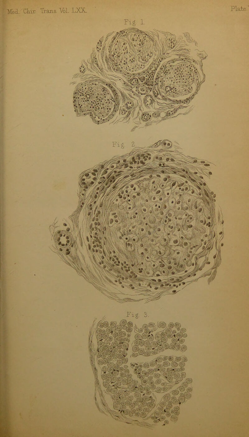 Plate. fyfecL Cliir Trans. Vol. LXX. Fig 1