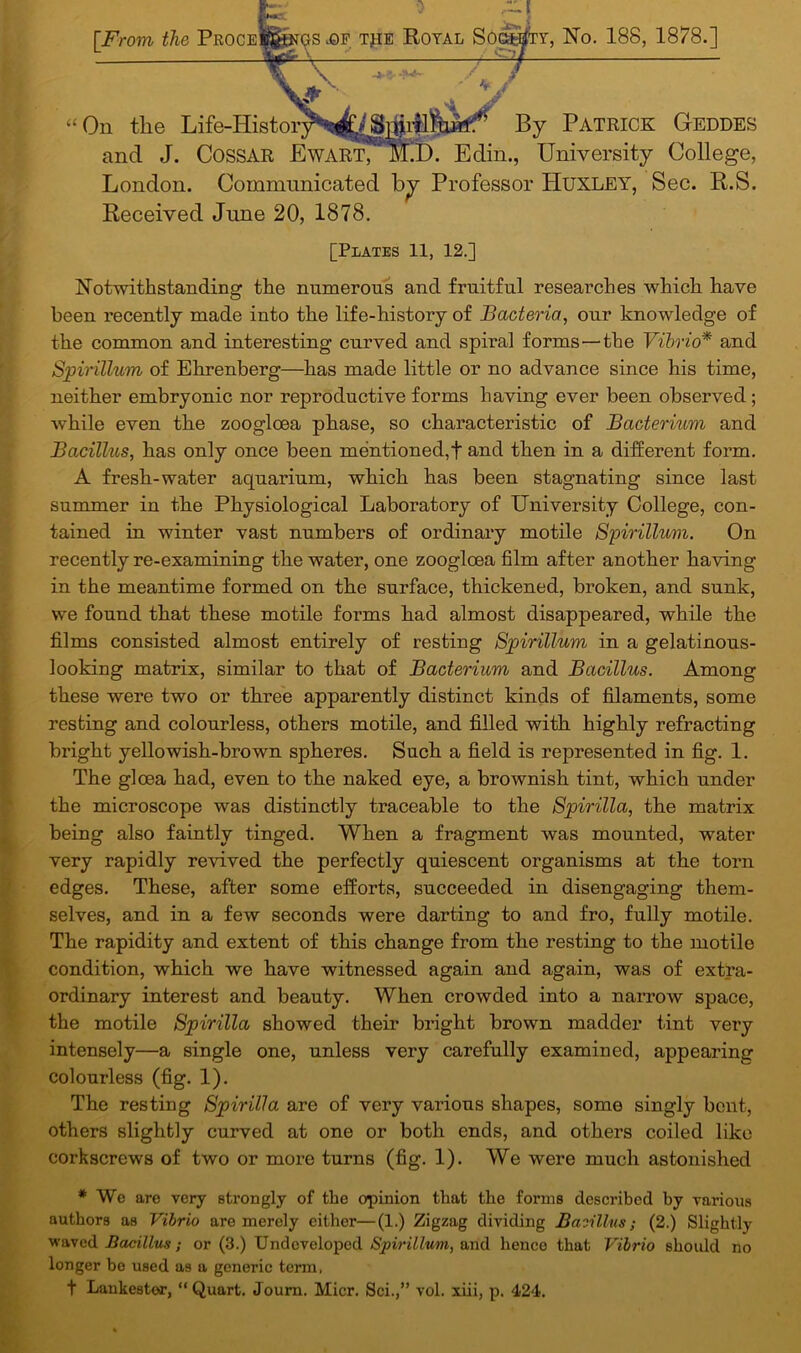 u V?* ^ v On the Life-History^By Patrick Geddes and J. Cossar Ewart, Mi). Edin., University College, London. Communicated by Professor Huxley, Sec. R.S. Received June 20, 1878. [Plates 11, 12.] Notwithstanding the numerous and fruitful researches which have been recently made into the life-history of Bacteria, our knowledge of the common and interesting curved and spiral forms—the Vibrio* and Spirillum of Ehrenberg—has made little or no advance since his time, neither embryonic nor reproductive forms having ever been observed ; while even the zoogloea phase, so characteristic of Bacterium and Bacillus, has only once been mentioned,! and then in a different form. A fresh-water aquarium, which has been stagnating since last summer in the Physiological Laboratory of University College, con- tained in winter vast numbers of ordinary motile Spirillum. On recently re-examining the water, one zoogloea film after another having in the meantime formed on the surface, thickened, broken, and sunk, we found that these motile forms had almost disappeared, while the films consisted almost entirely of resting Spirillum in a gelatinous- looking matrix, similar to that of Bacterium and Bacillus. Among these were two or three apparently distinct kinds of filaments, some resting and colourless, others motile, and filled with highly refracting bright yellowish-brown spheres. Such a field is represented in fig. 1. The glcea had, even to the naked eye, a brownish tint, which under the microscope was distinctly traceable to the Spirilla, the matrix being also faintly tinged. When a fragment was mounted, water very rapidly revived the perfectly quiescent organisms at the torn edges. These, after some efforts, succeeded in disengaging them- selves, and in a few seconds were darting to and fro, fully motile. The rapidity and extent of this change from the resting to the motile condition, which we have witnessed again and again, was of extra- ordinary interest and beauty. When crowded into a narrow space, the motile Spirilla showed their bright brown madder tint very intensely—a single one, unless very carefully examined, appearing colourless (fig. 1). The resting Spirilla are of very various shapes, some singly bent, others slightly curved at one or both ends, and others coiled like corkscrews of two or more turns (fig. 1). We were much astonished * Wc are very strongly of the opinion that the forms described by various authors as Vibrio are merely either—(1.) Zigzag dividing Bacillus; (2.) Slightly waved Bacillus; or (3.) Undeveloped Spirillum, and hence that Vibrio should no longer be used as a generic term, t Lankester, “ Quart. Journ. Micr. Sci.,” vol. xiii, p. 424.