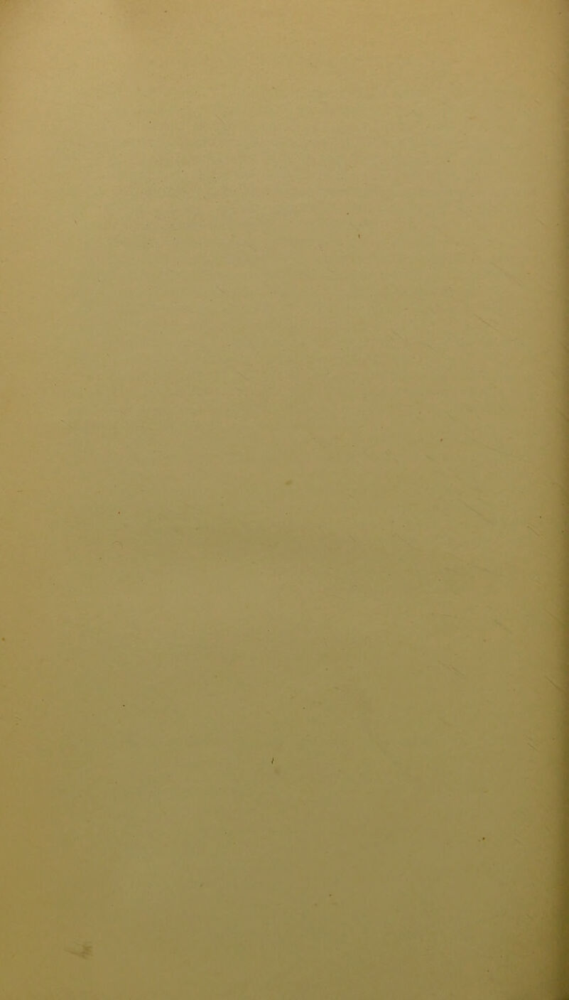 ■ S^.,1 : :., ' *•, ■ : - ._■. »r. ^ t mmmmn ■ <. r ^ - V’ --:r-