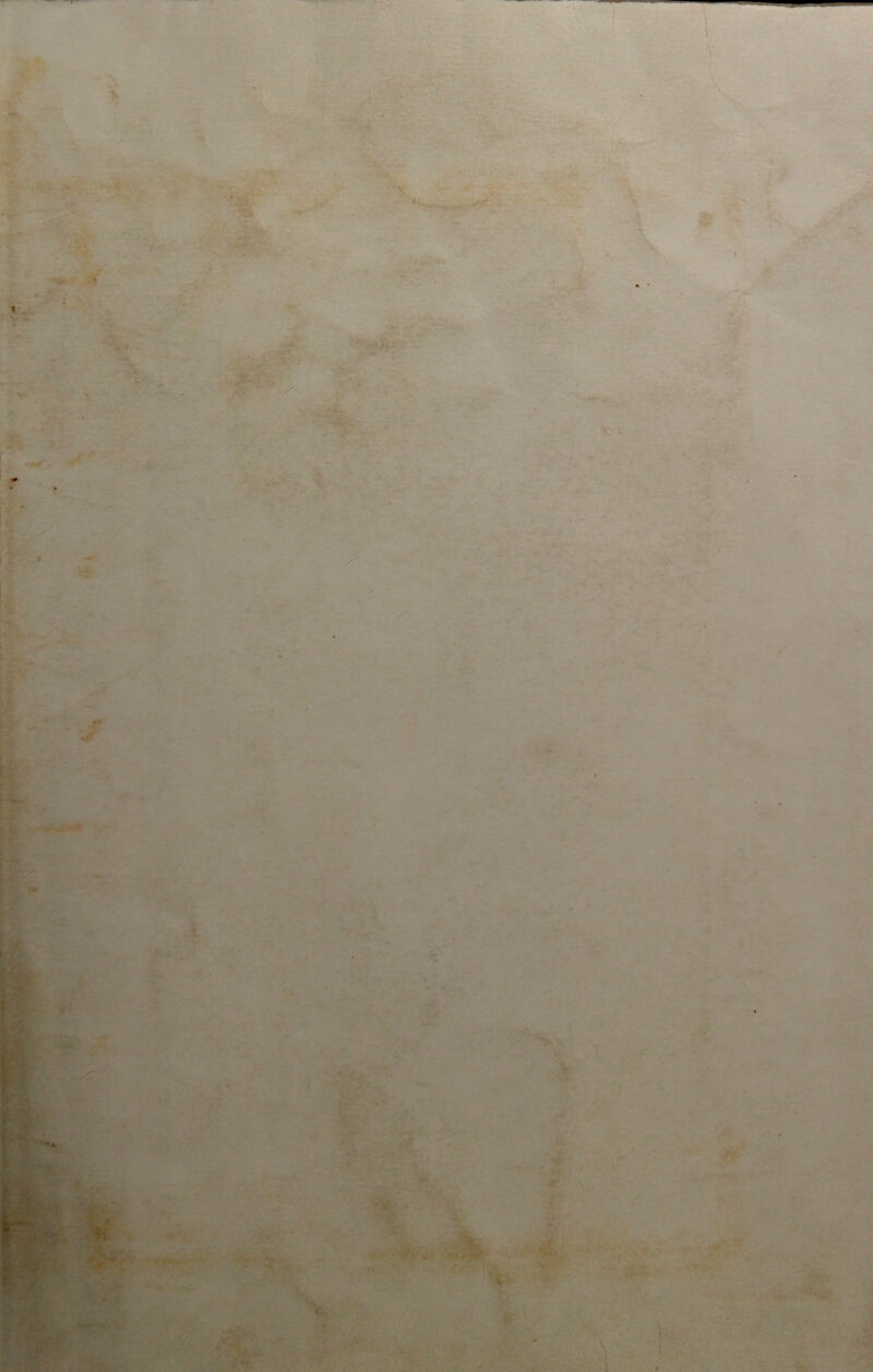 S'^ ‘ 'v * • • * v ■