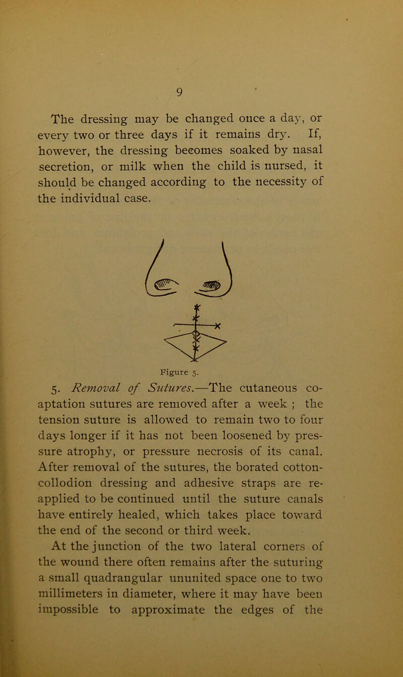 The dressing may be changed once a day, or every two or three days if it remains dry. If, however, the dressing becomes soaked by nasal secretion, or milk when the child is nursed, it should be changed according to the necessity of the individual case. Figure 5. 5. Removal of Sutures.—The cutaneous co- aptation sutures are removed after a week ; the tension suture is allowed to remain two to four days longer if it has not been loosened by pres- sure atrophy, or pressure necrosis of its canal. After removal of the sutures, the borated cotton- collodion dressing and adhesive straps are re- applied to be continued until the suture canals have entirely healed, which takes place toward the end of the second or third week. At the junction of the two lateral corners of the wound there often remains after the suturing a small quadrangular ununited space one to two millimeters in diameter, where it may have been impossible to approximate the edges of the